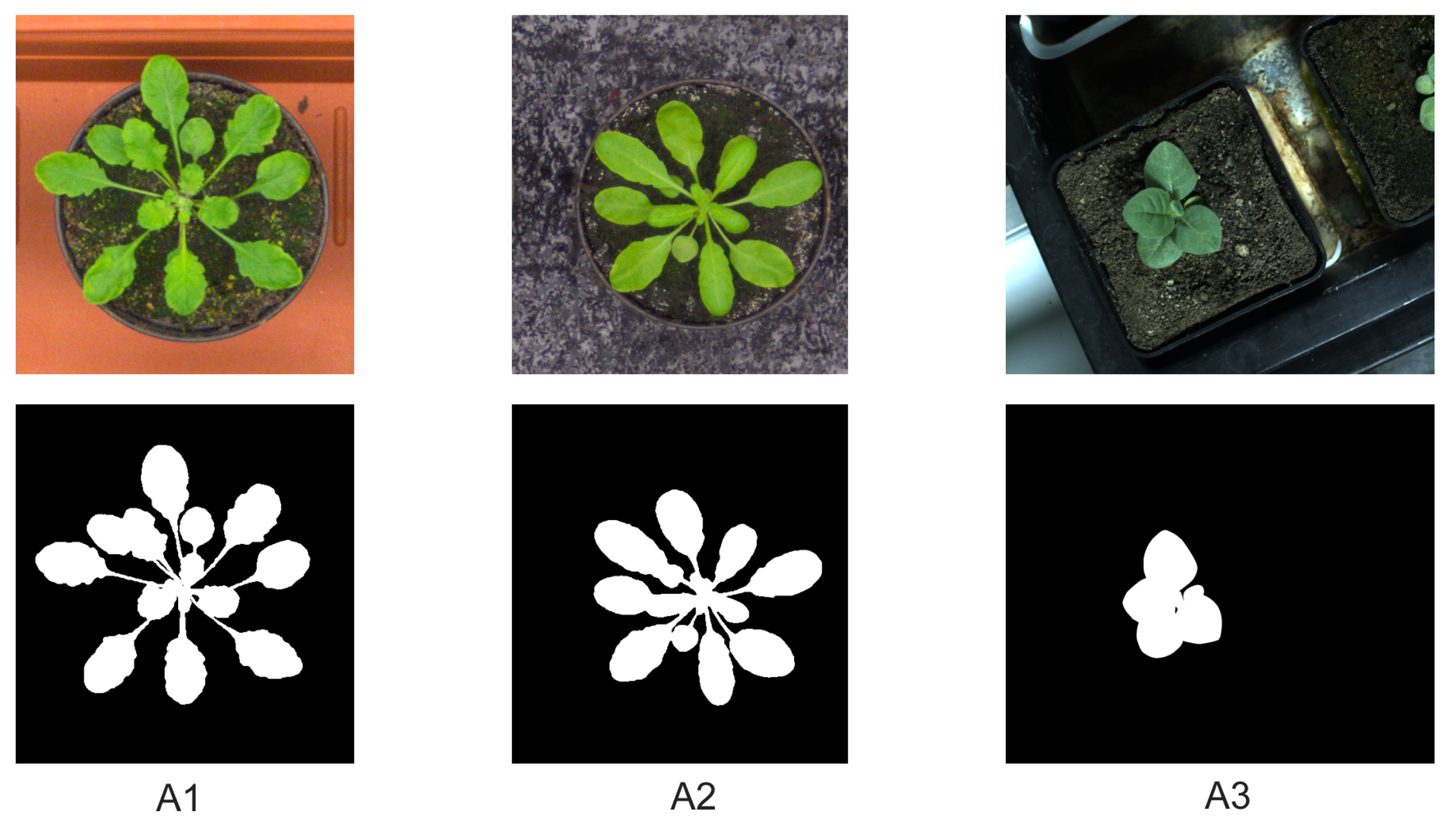 Agriculture 11 01098 g002