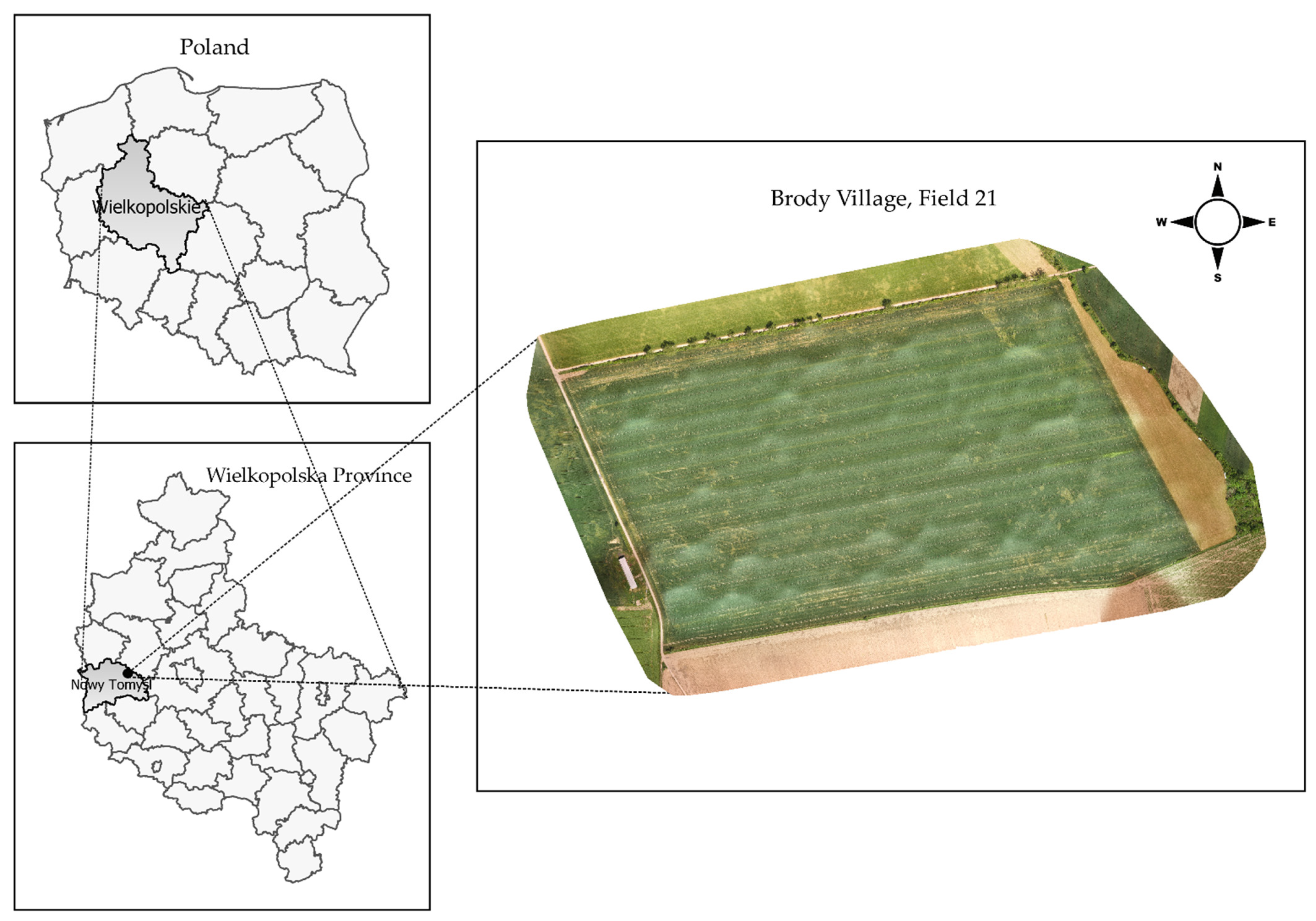 Agriculture 11 01104 g001