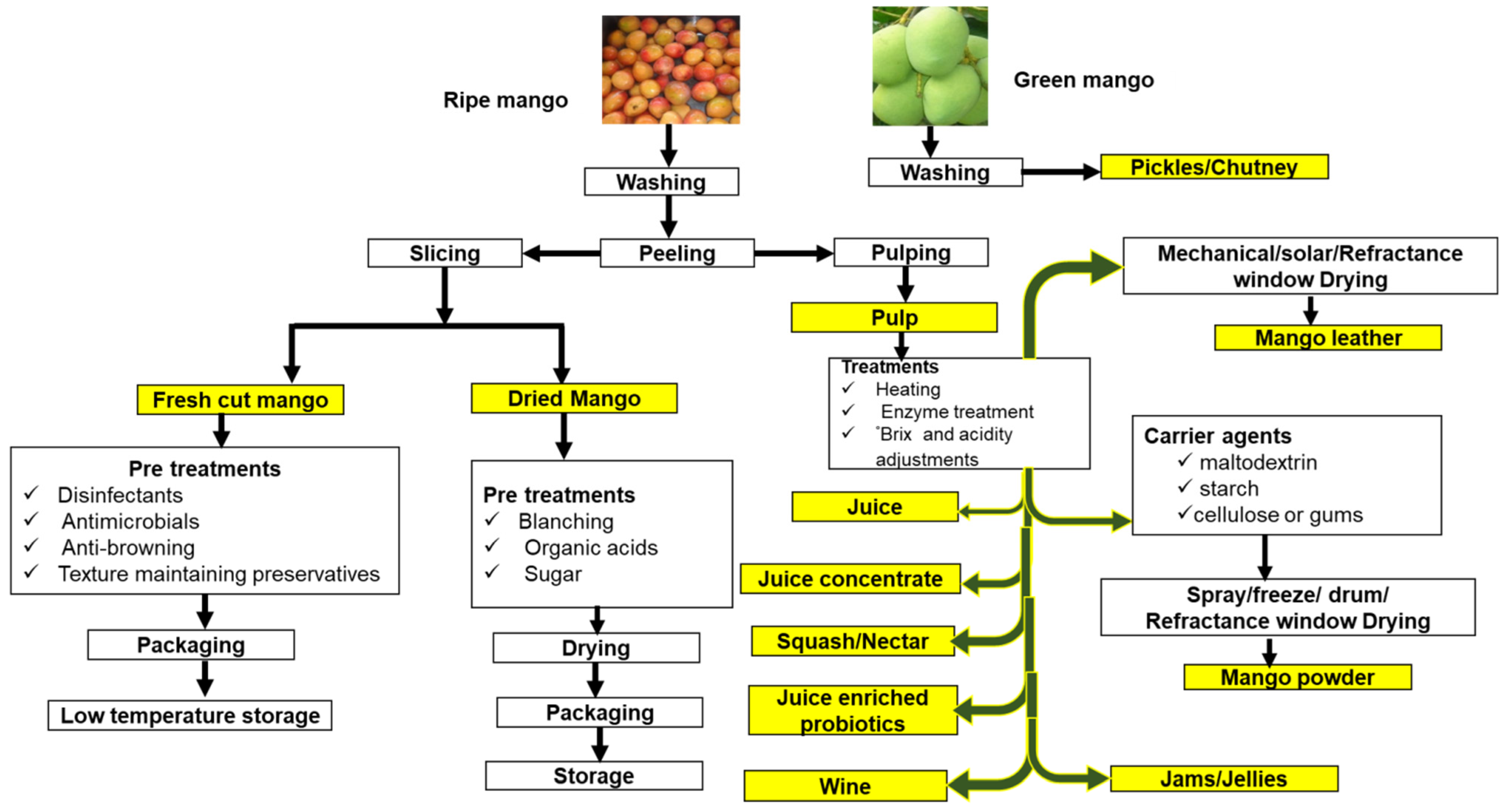 Know Your Produce Commodity  Mango Market & Industry Summary