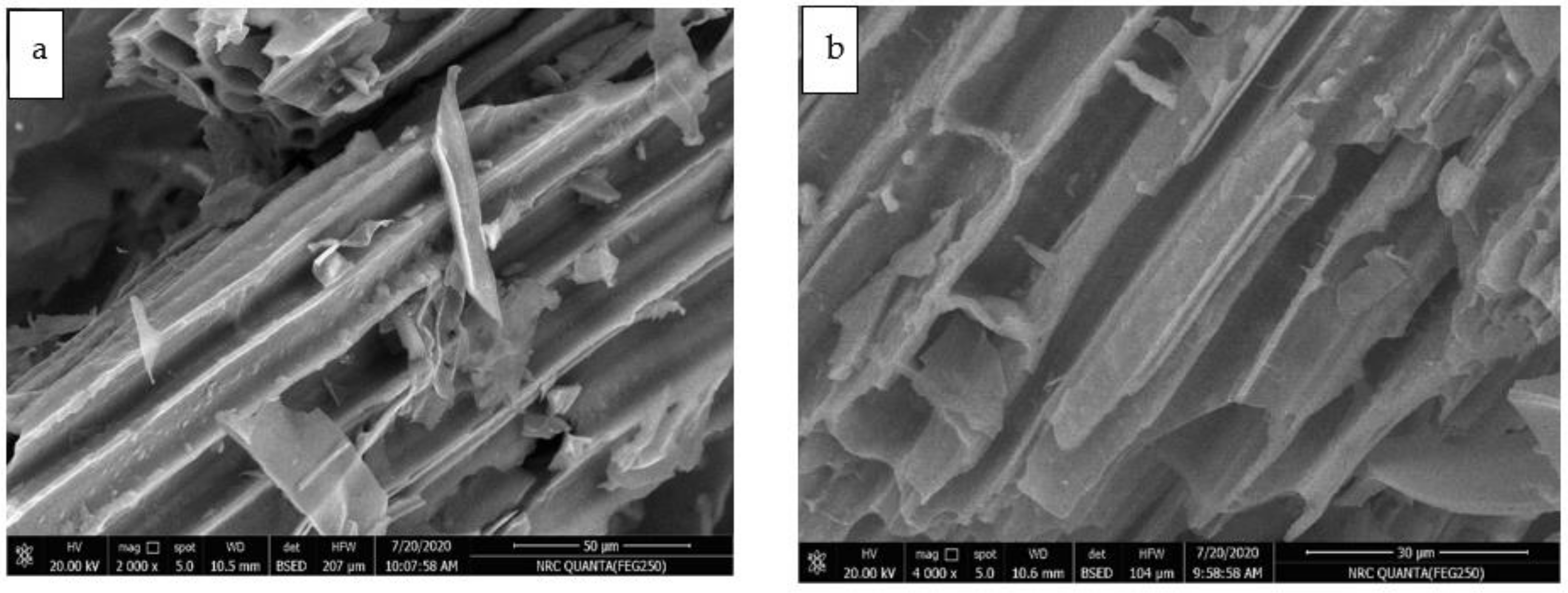 Agriculture 11 01112 g002