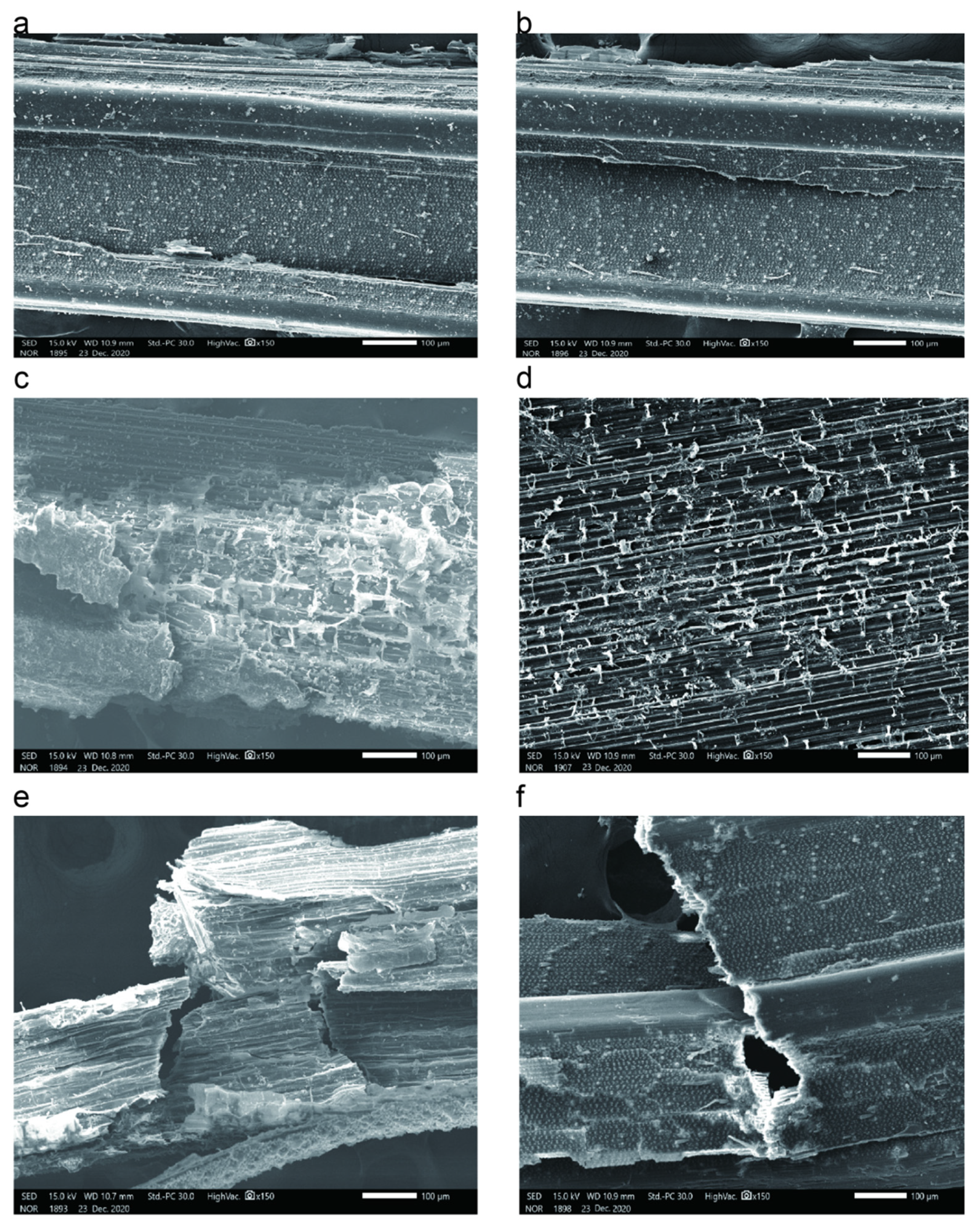 Agriculture 11 01113 g001 Agriculture 11 01113 g001