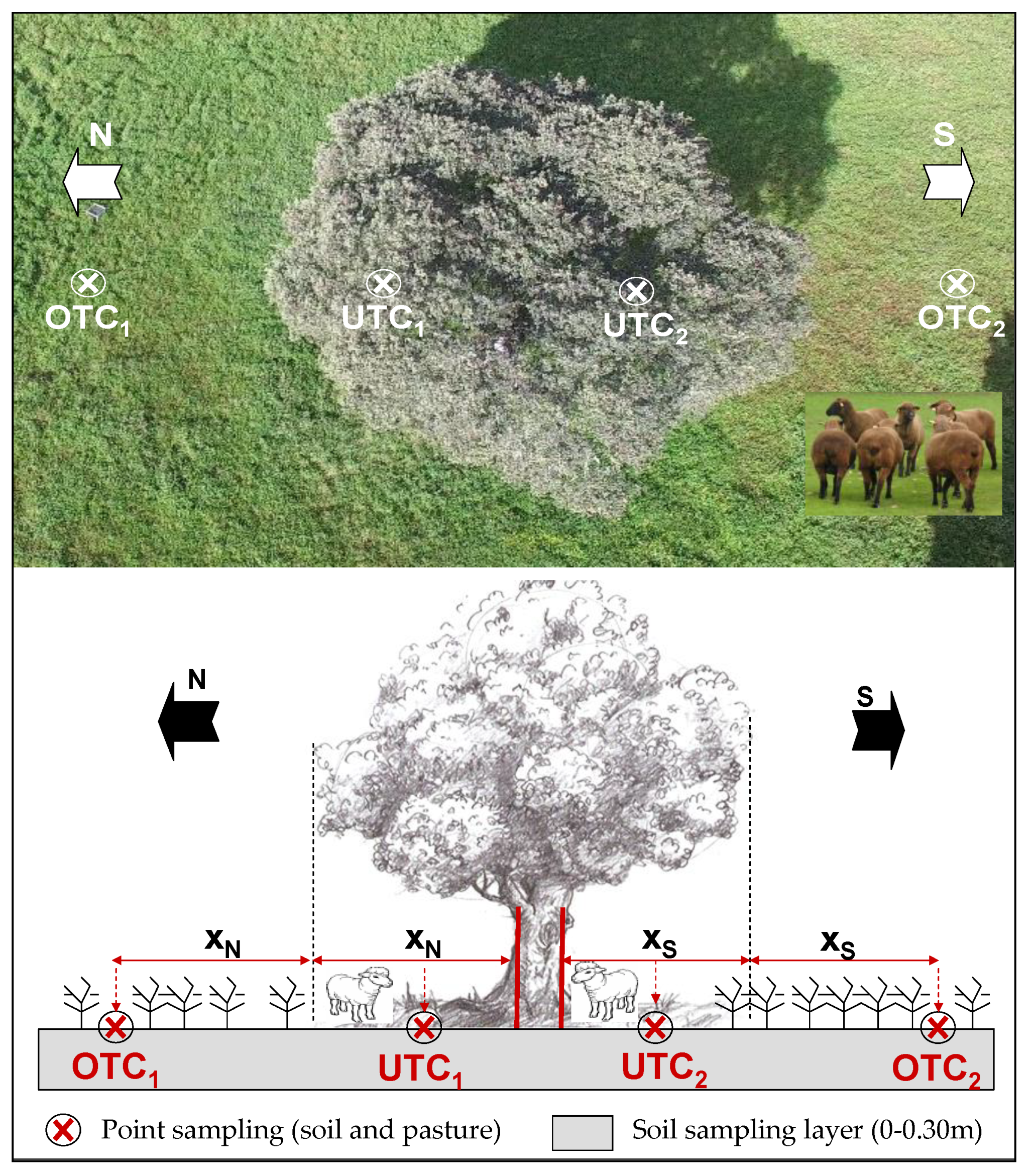 Agriculture 11 01128 g002 550