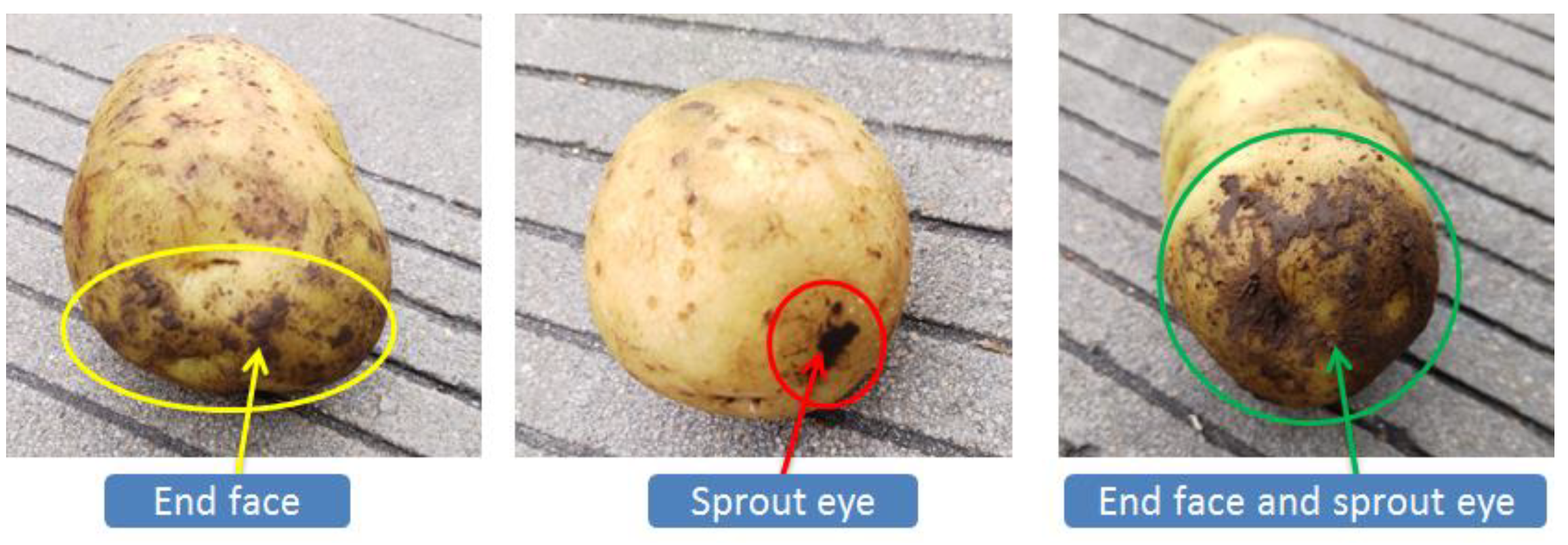 Agriculture 11 01139 g012