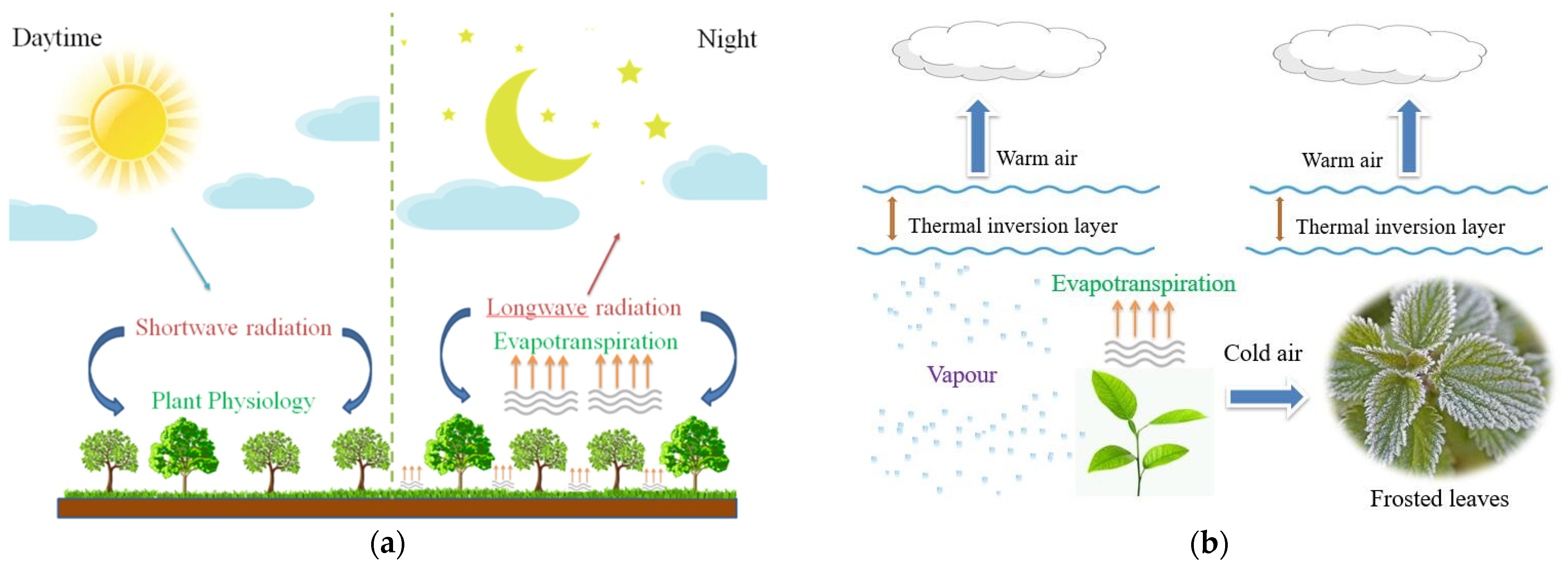 Agriculture 11 01142 g001
