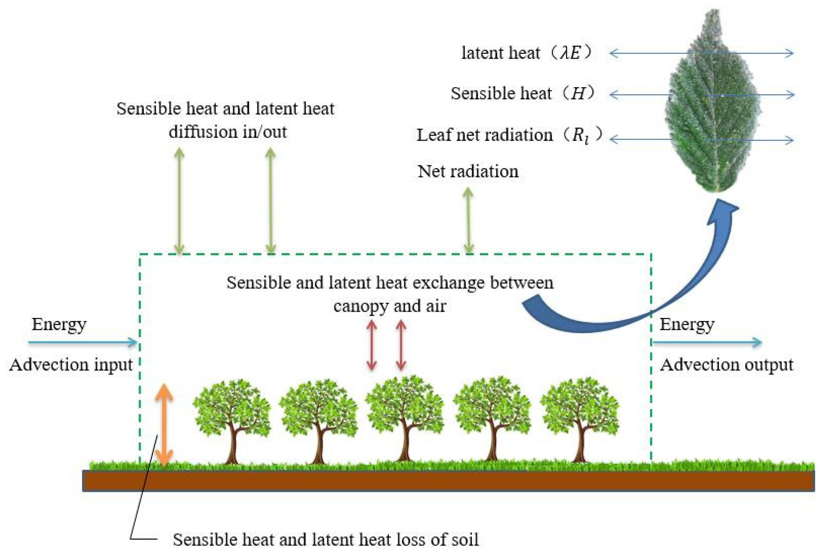 Agriculture 11 01142 g003