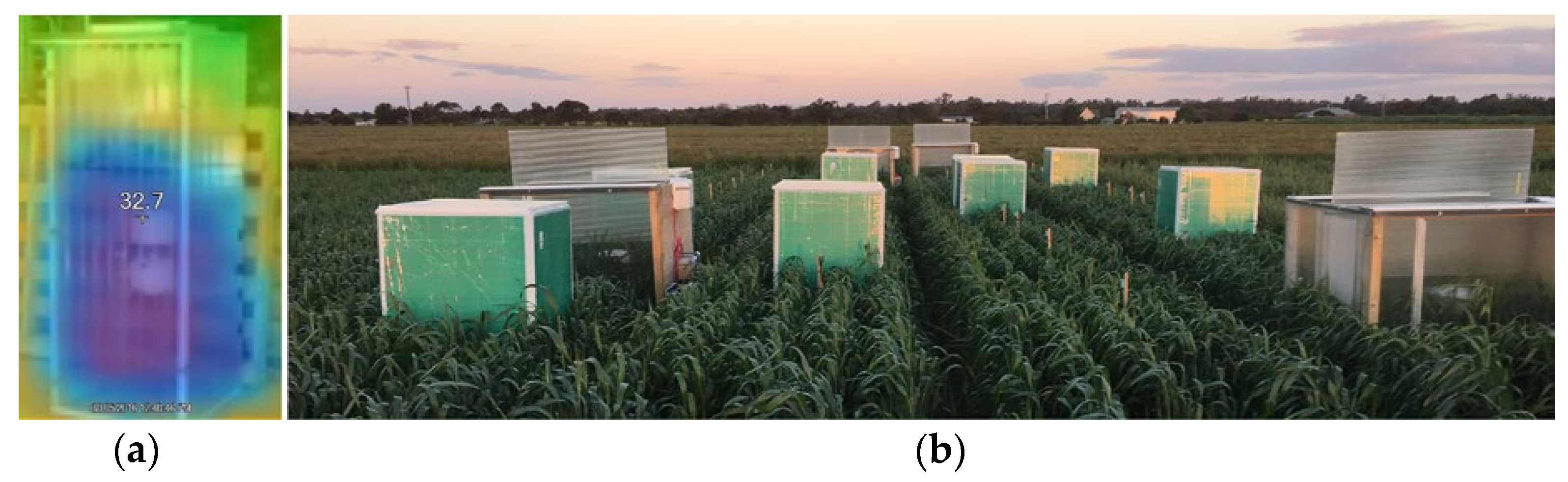 Agriculture 11 01142 g005