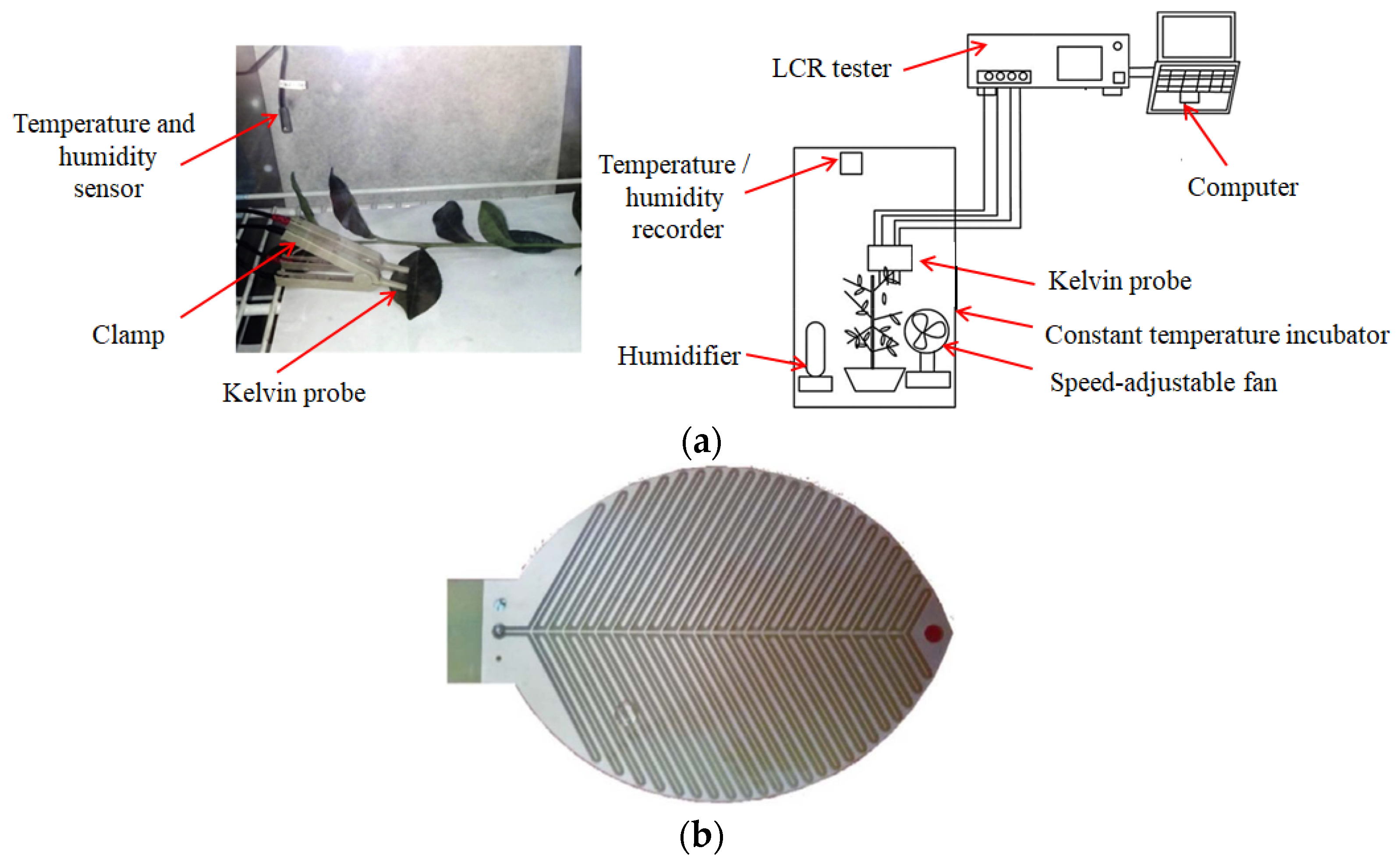 Agriculture 11 01142 g011