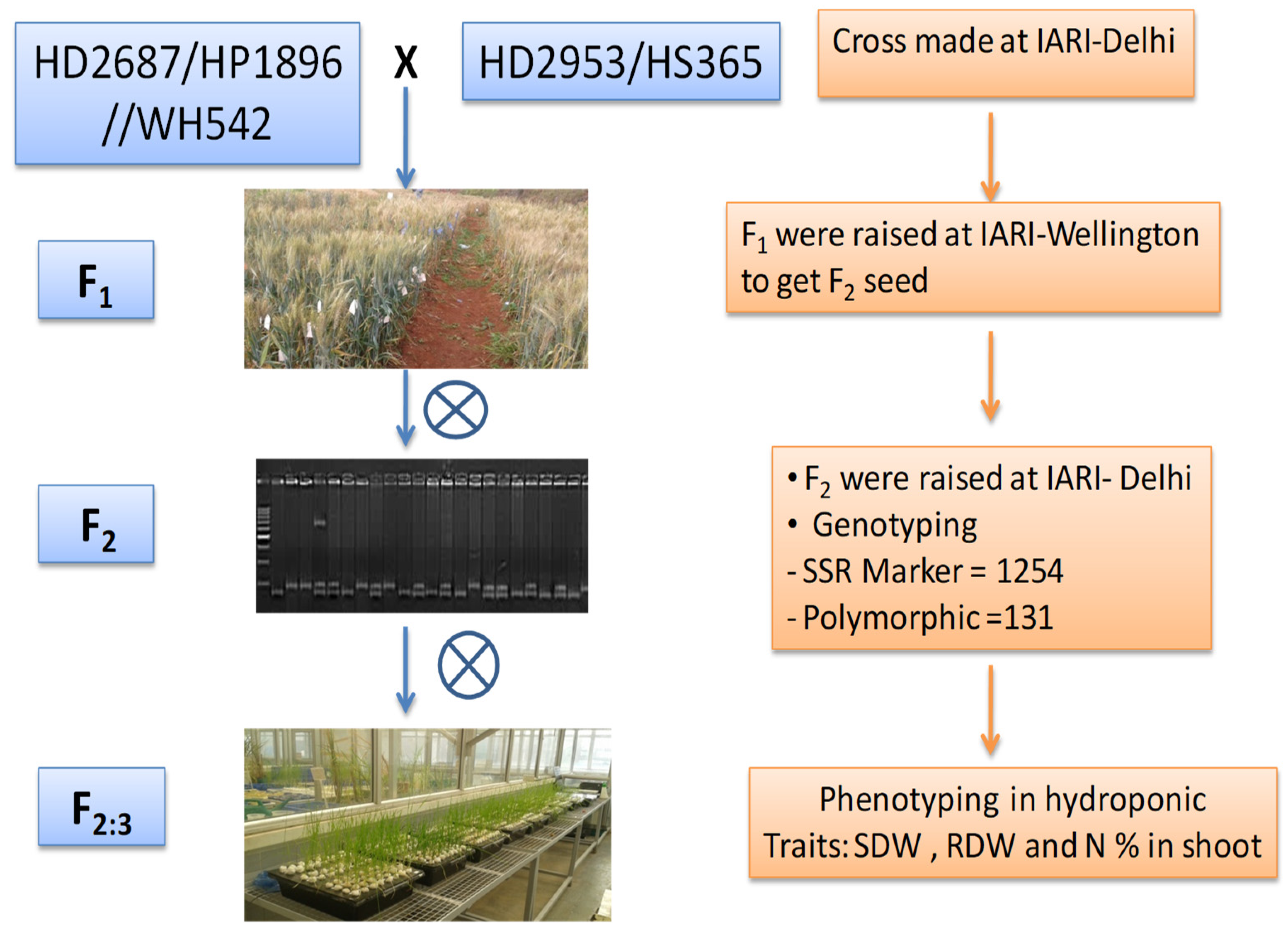 Agriculture 11 01149 g001