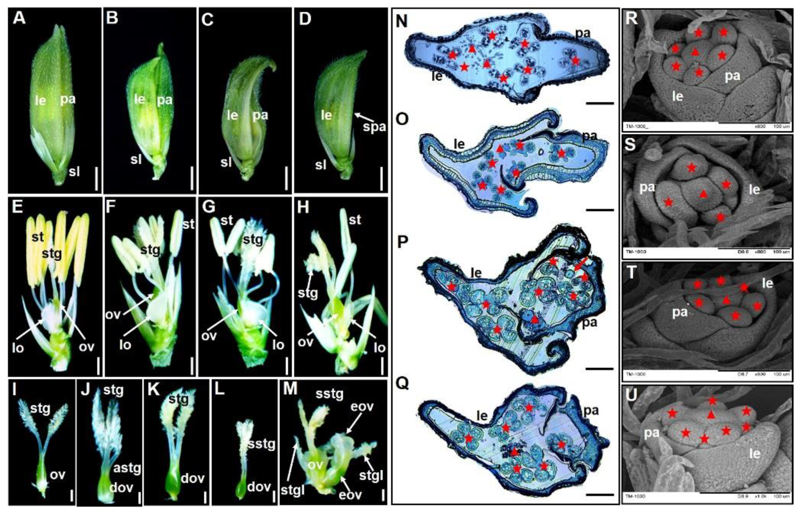Agriculture 11 01162 g002
