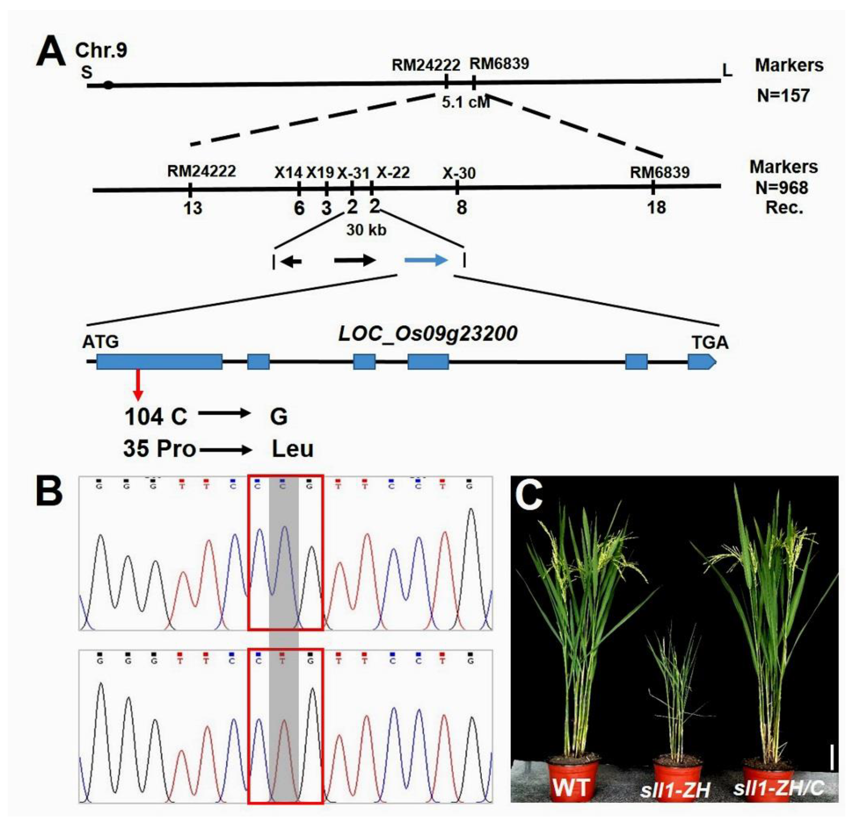 Agriculture 11 01162 g003