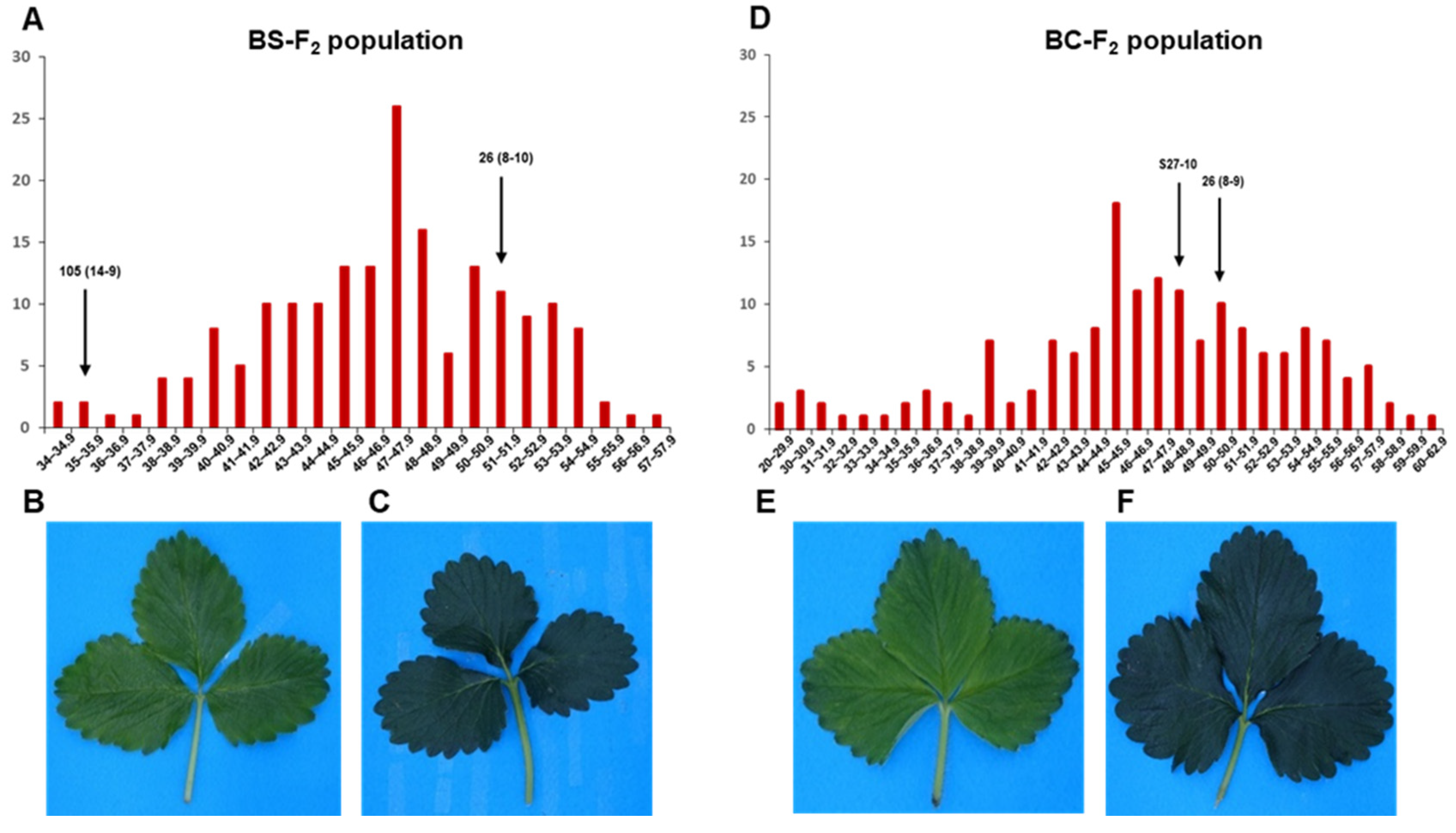 Agriculture 11 01163 g001
