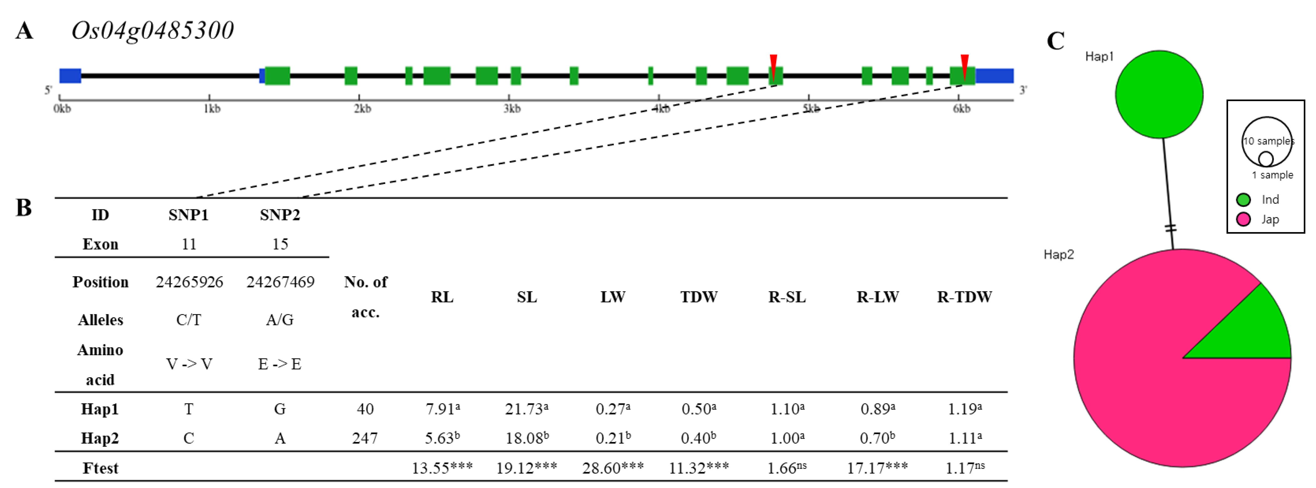 Agriculture 11 01174 g007