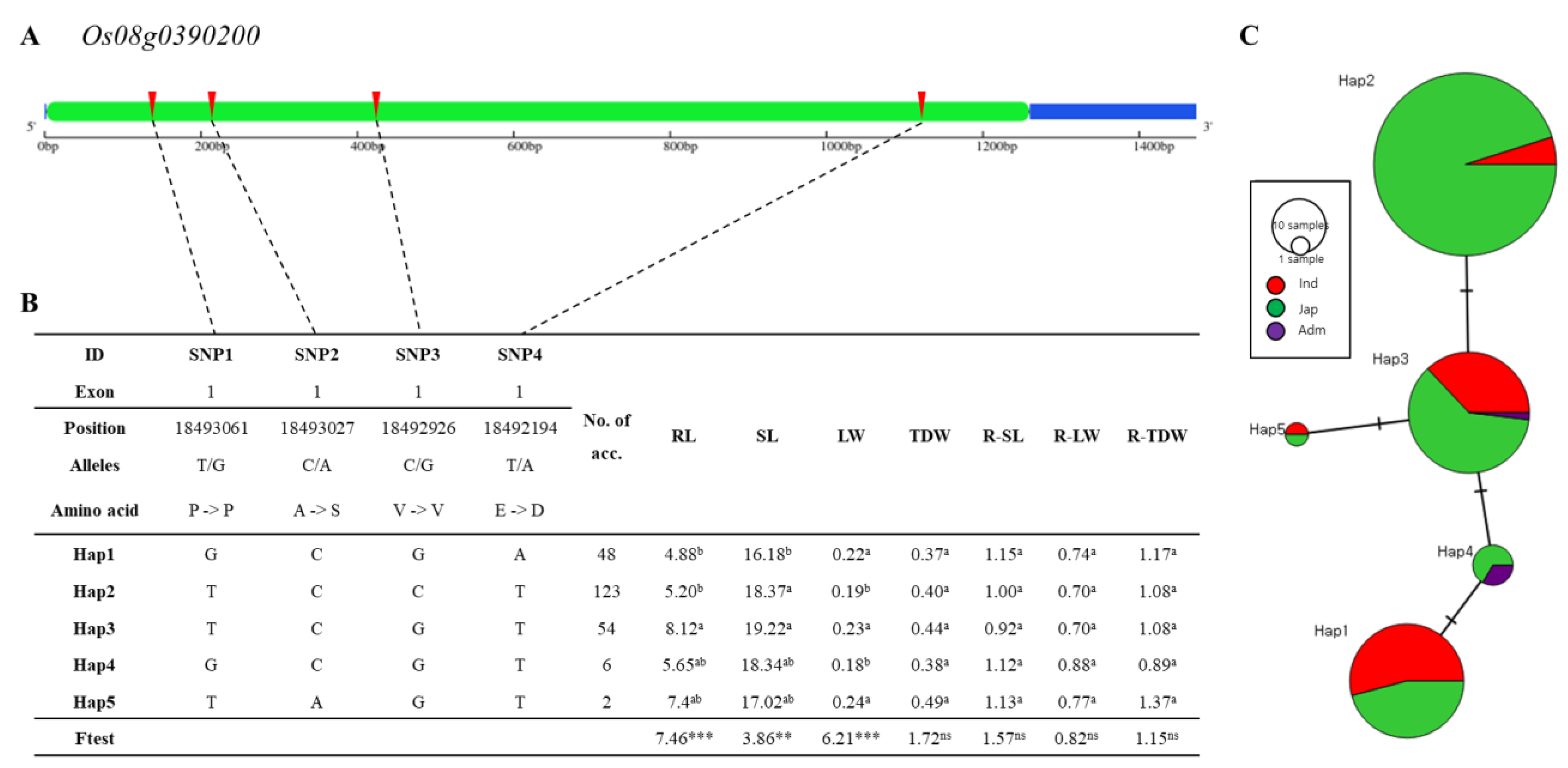 Agriculture 11 01174 g010