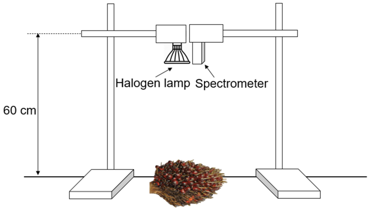 Agriculture 11 01179 g002 Agriculture 11 01179 g002