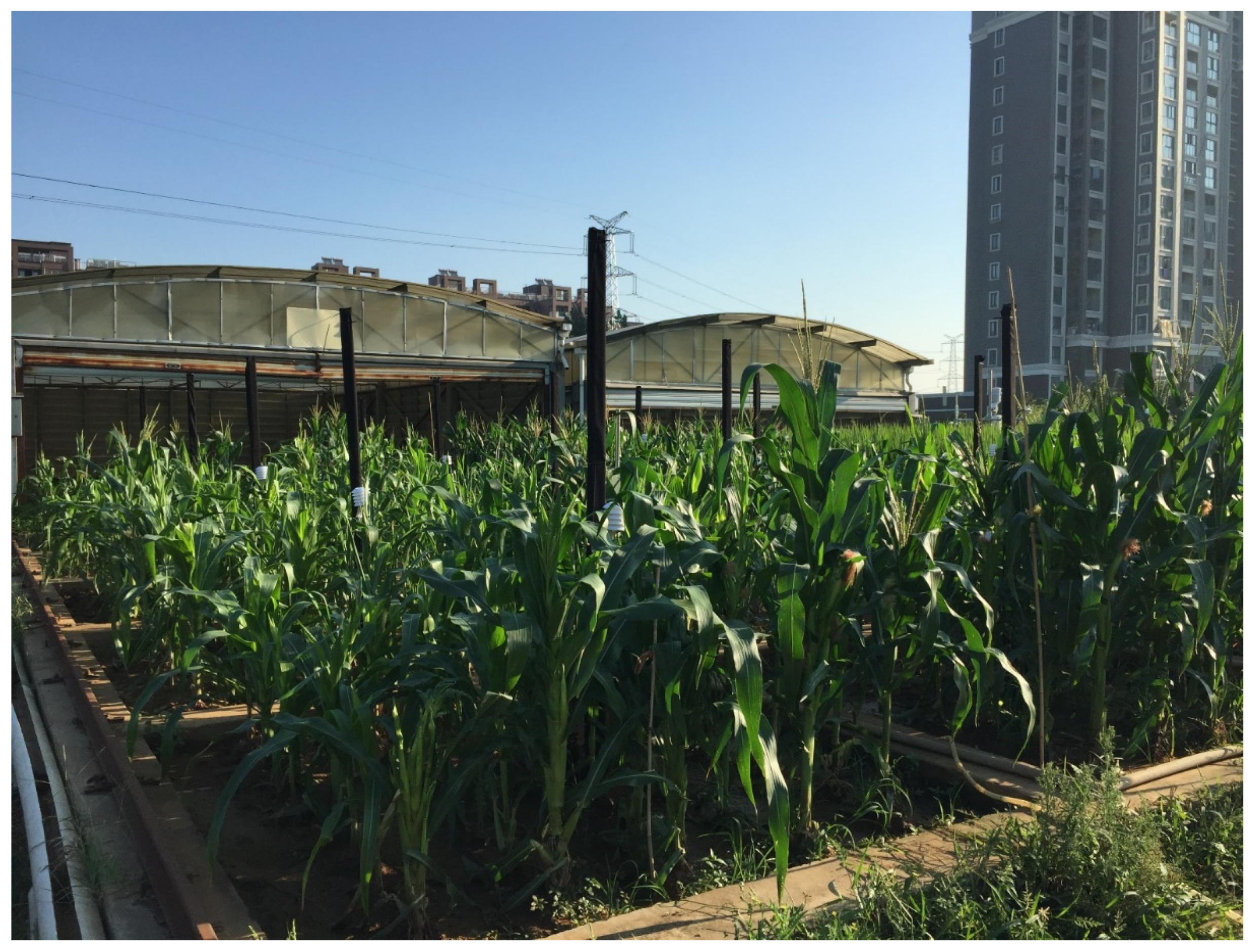 Agriculture 11 01180 g001