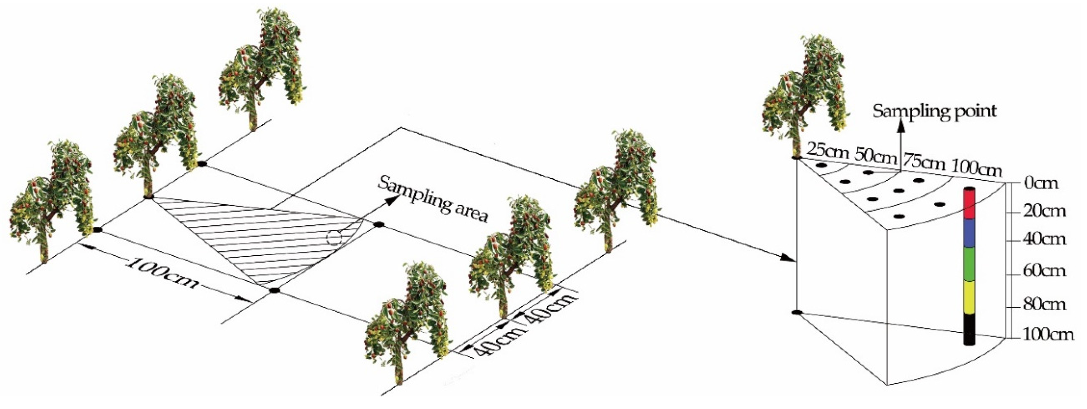 Agriculture 11 01184 g002 550