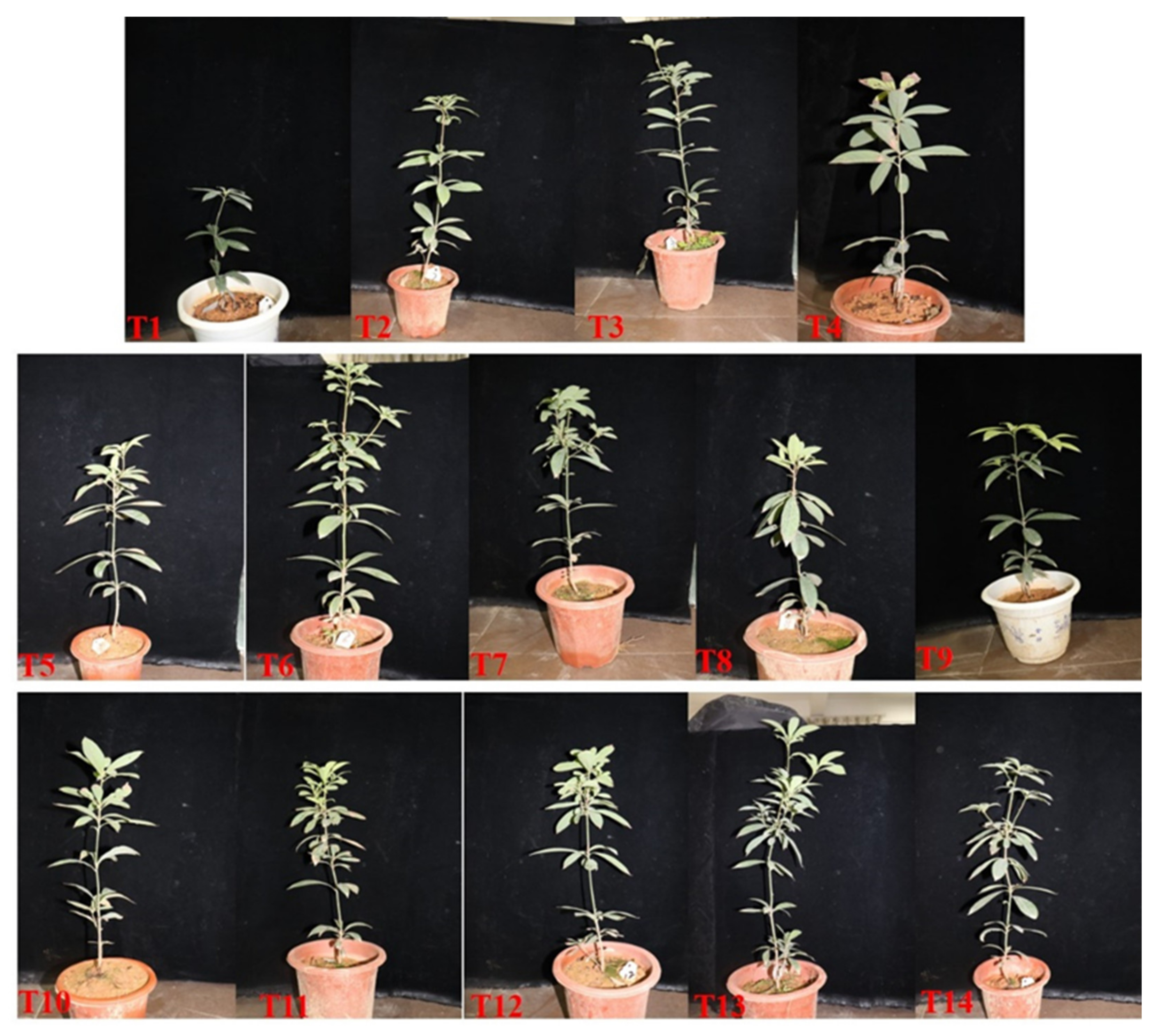 Agriculture 11 01187 g001 Agriculture 11 01187 g001