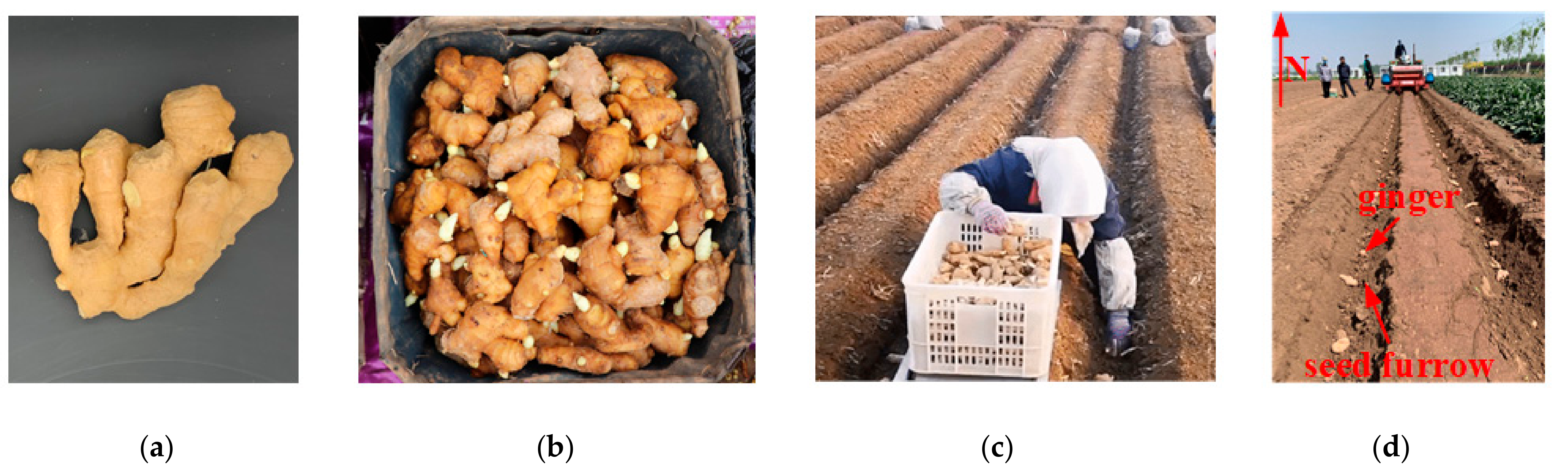 Agriculture 11 01190 g001 550