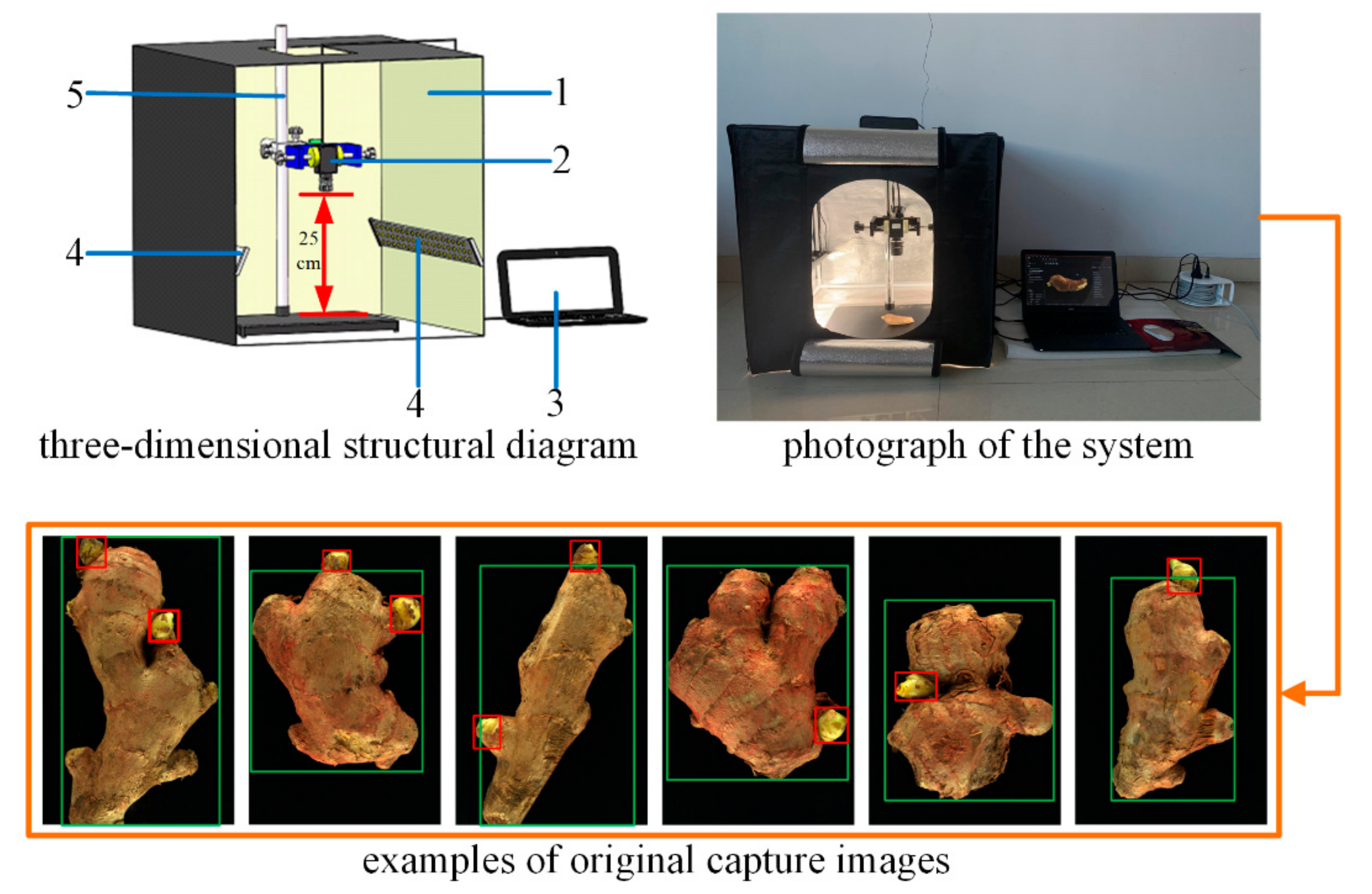 Agriculture 11 01190 g002 550