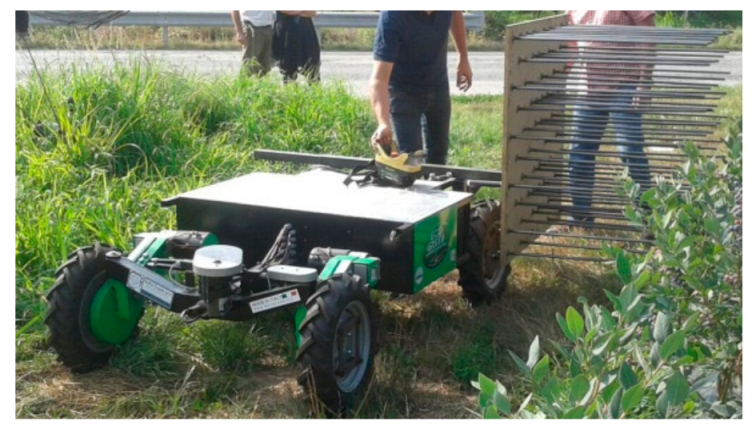 Agriculture 11 01197 g001