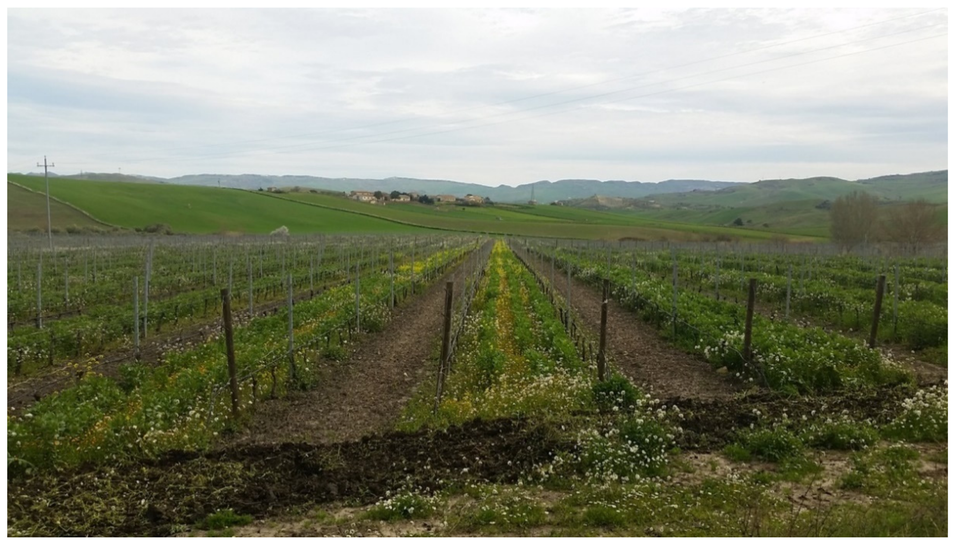 Agriculture 11 01201 g003 550