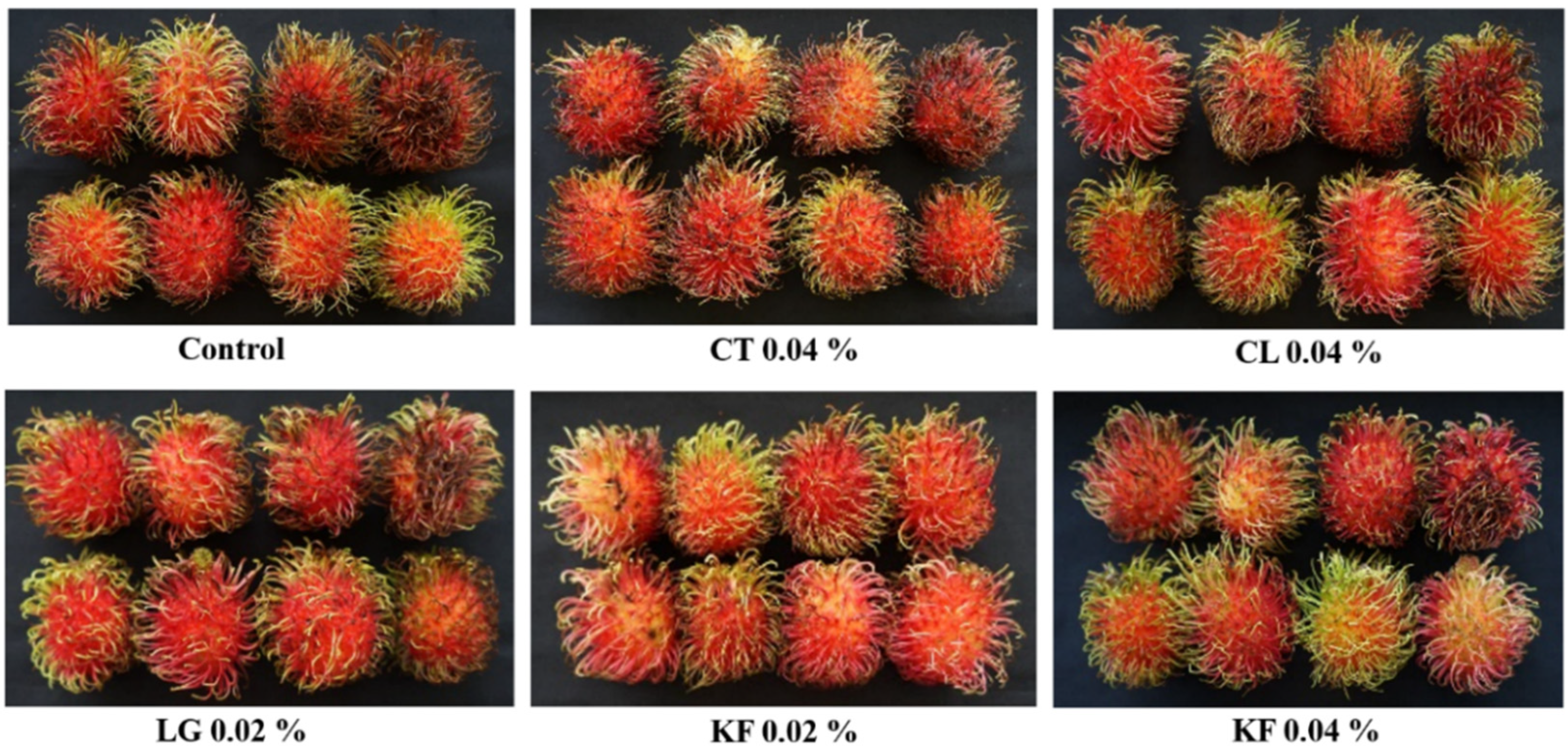 agriculture free full text application of essential oils for maintaining postharvest quality of lsquo rongrien rsquo rambutan fruit html