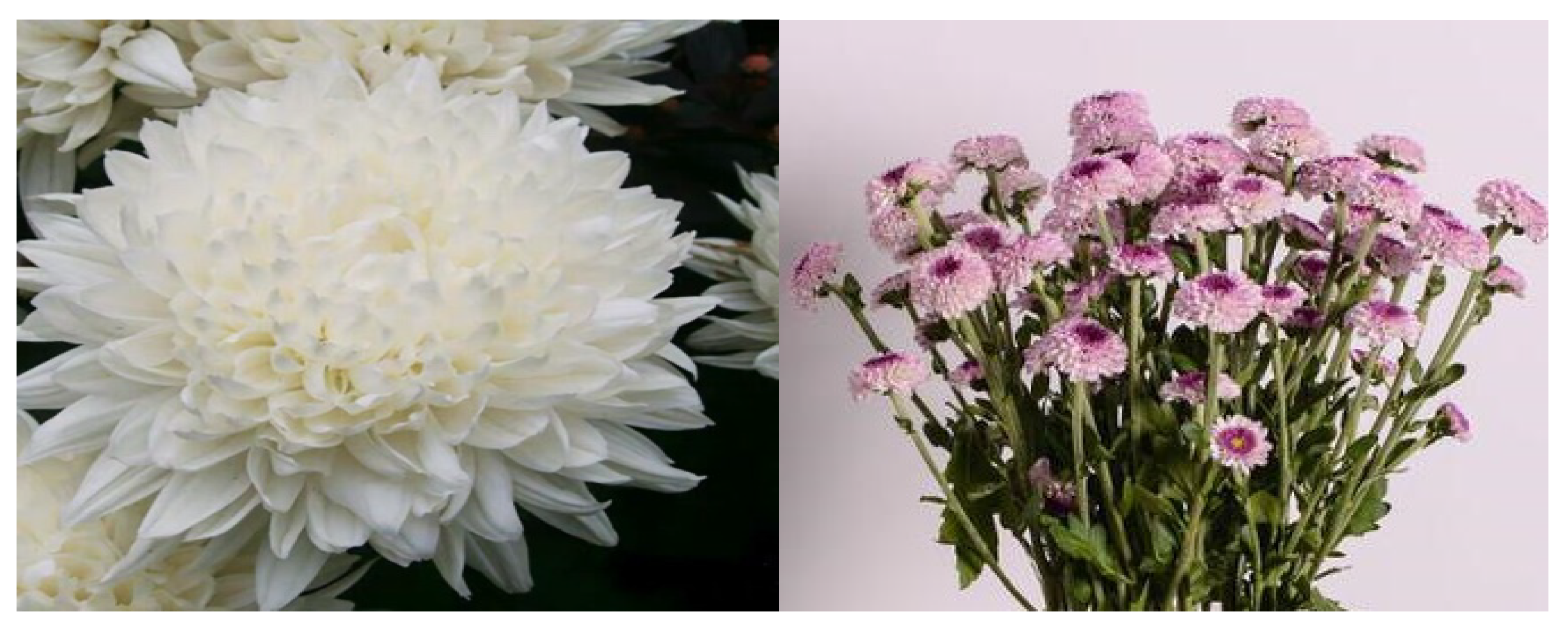 Agriculture 11 01221 g001 Agriculture 11 01221 g001