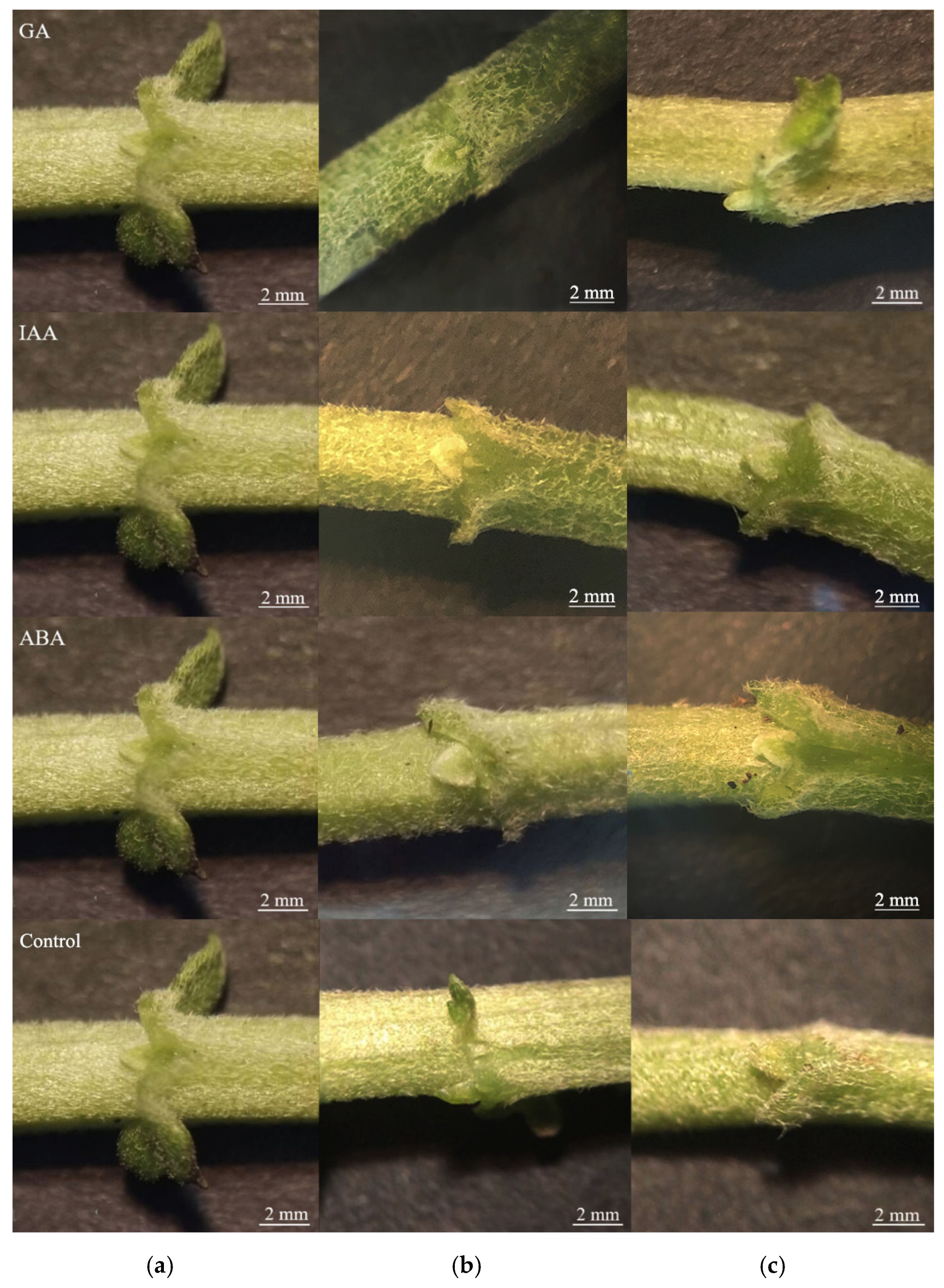 Agriculture 11 01221 g002 Agriculture 11 01221 g002