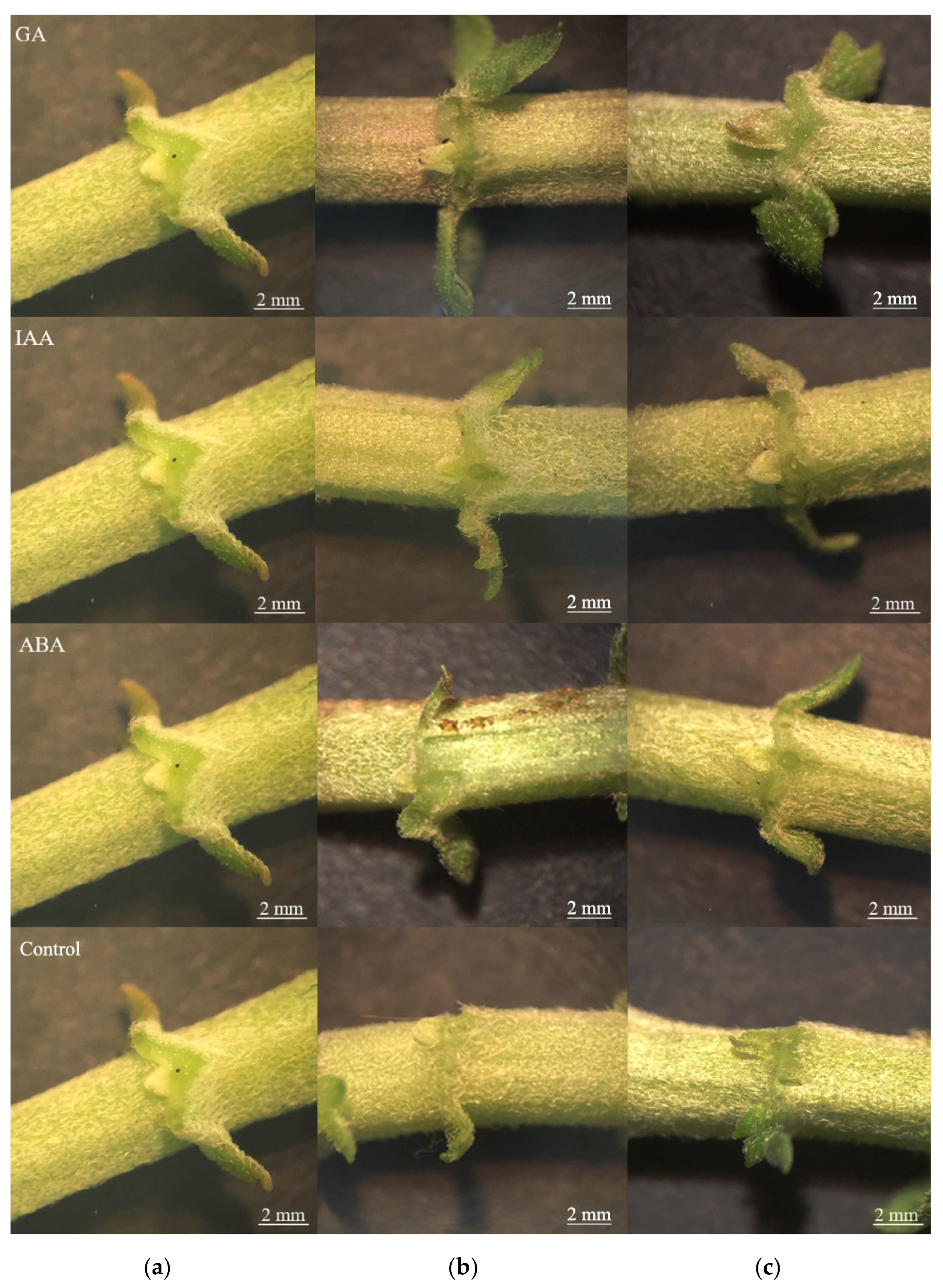 Agriculture 11 01221 g003 Agriculture 11 01221 g003