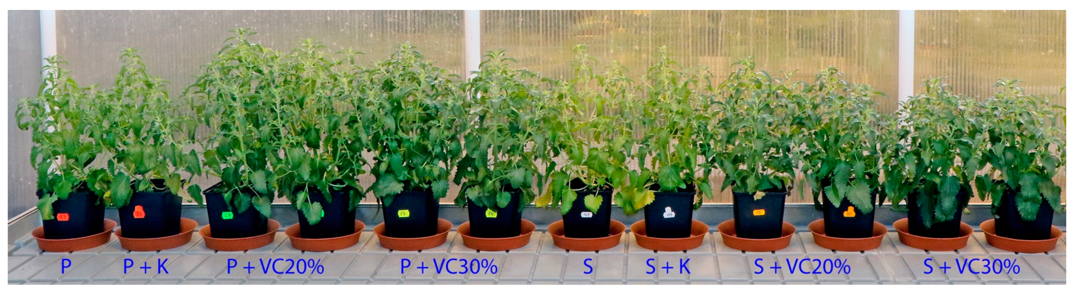 Agriculture 11 01231 g003 550