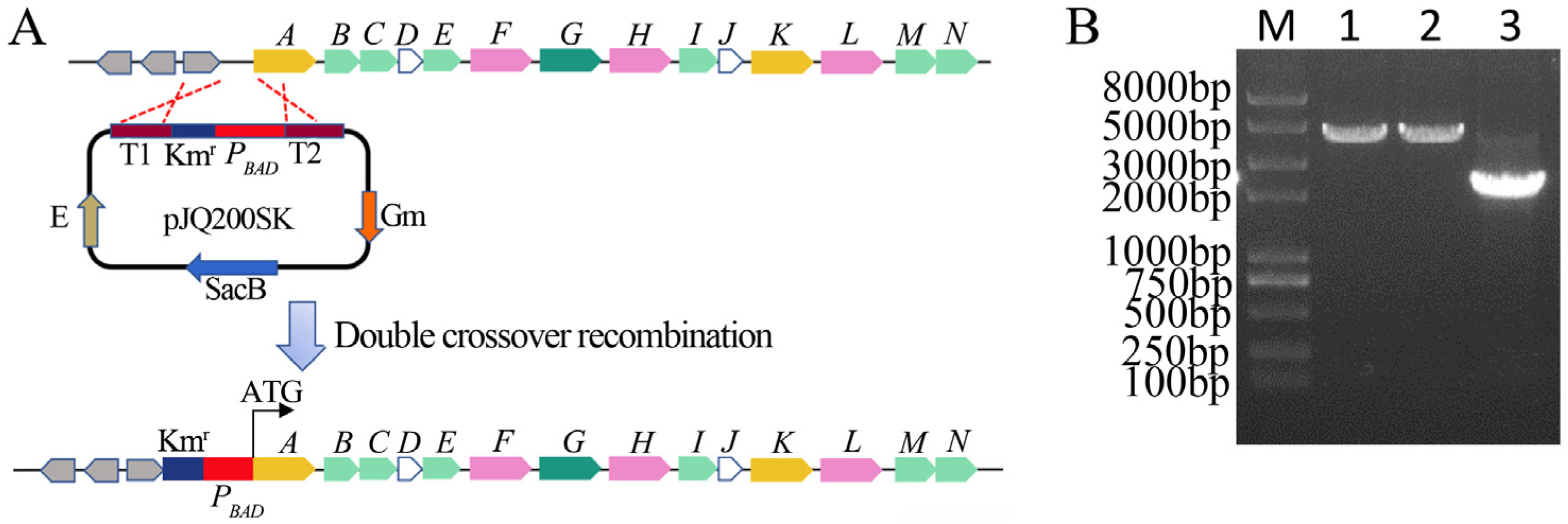 Agriculture 11 01251 g001