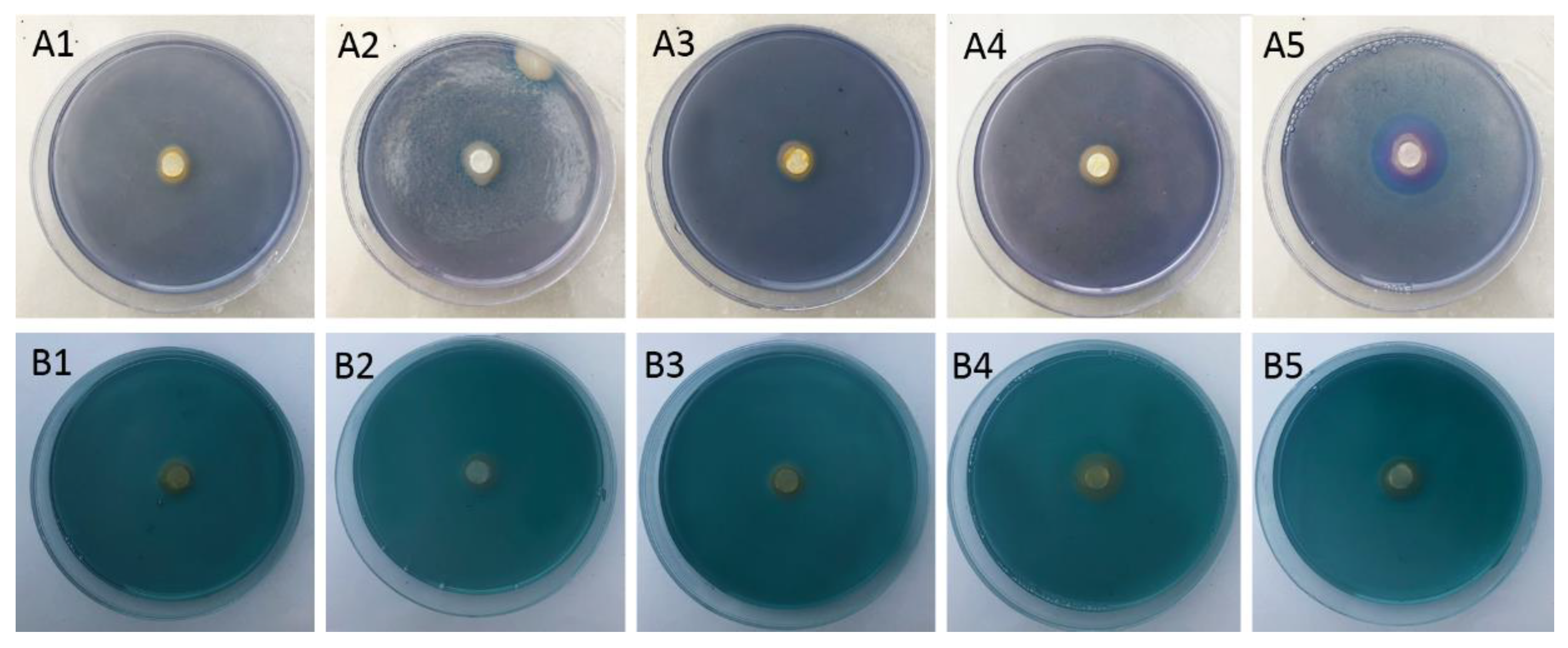 Agriculture 11 01258 g002 550