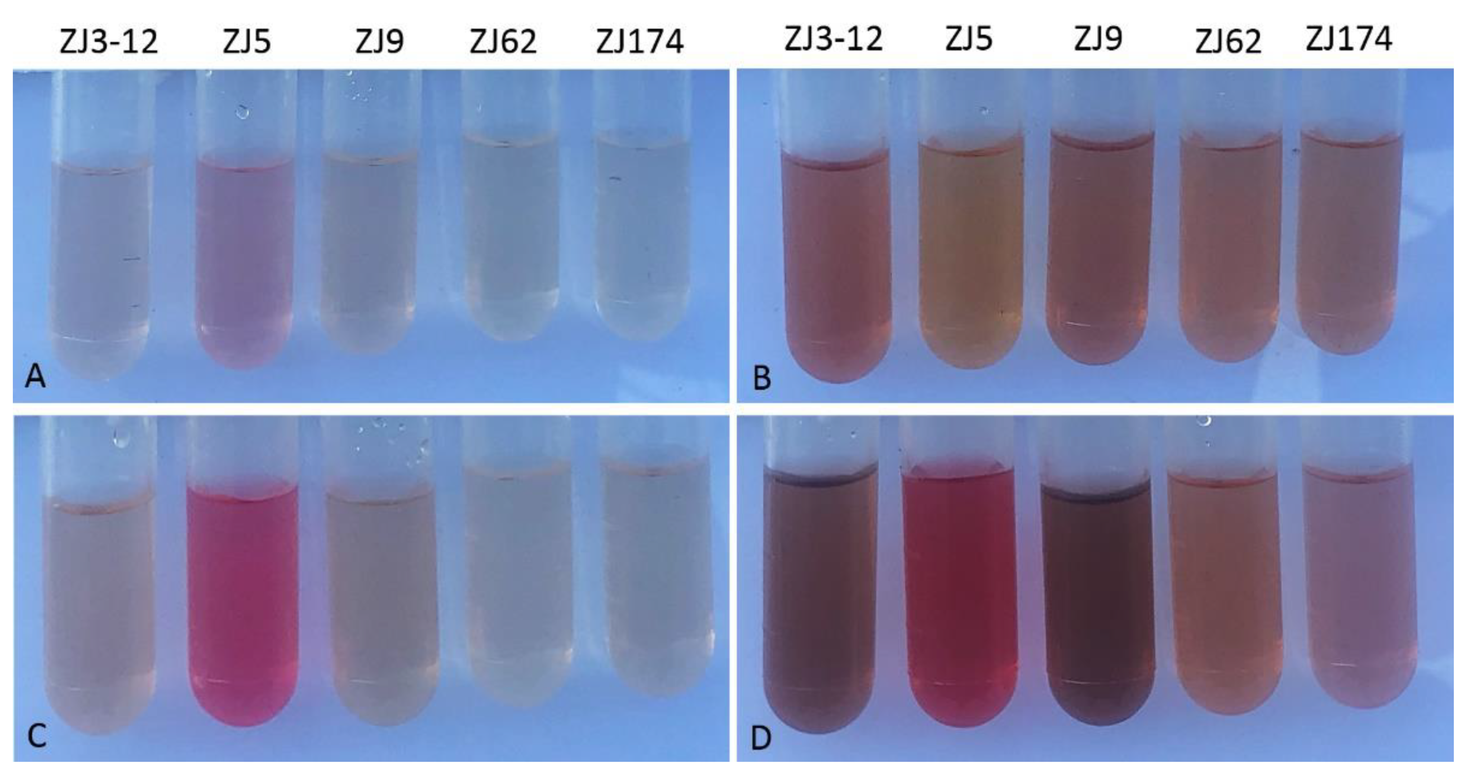 Agriculture 11 01258 g004 550