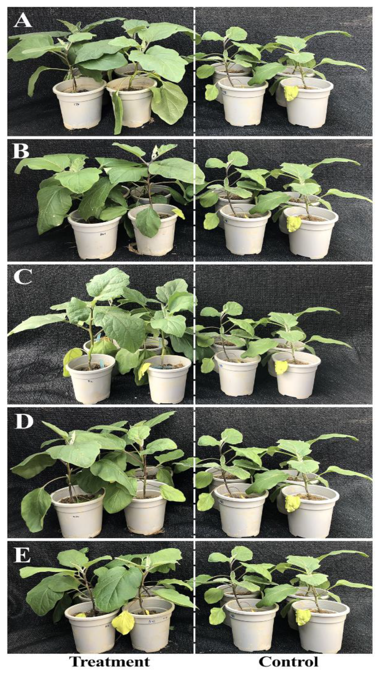 Agriculture 11 01258 g006 550