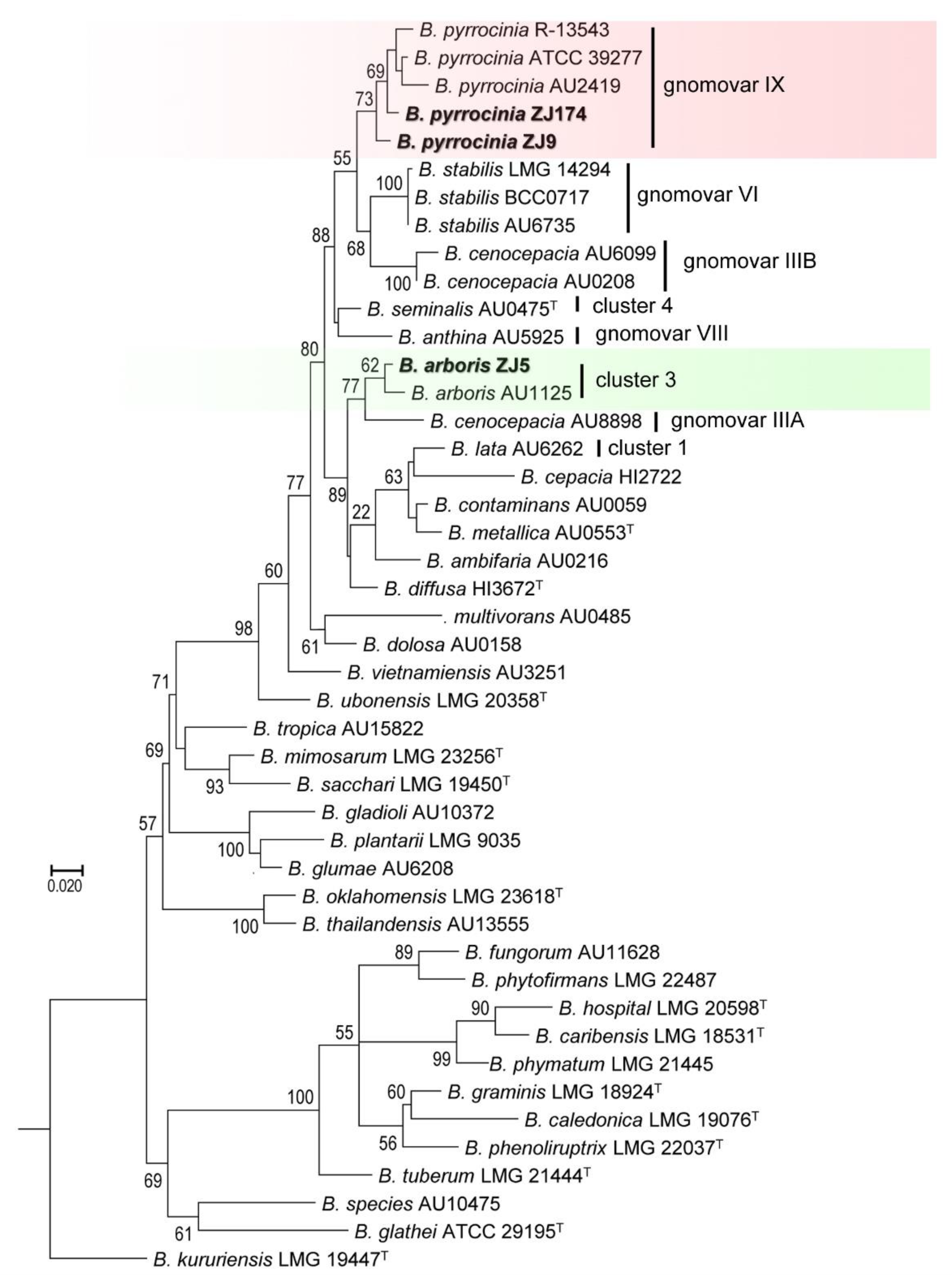 Agriculture 11 01258 g008 550