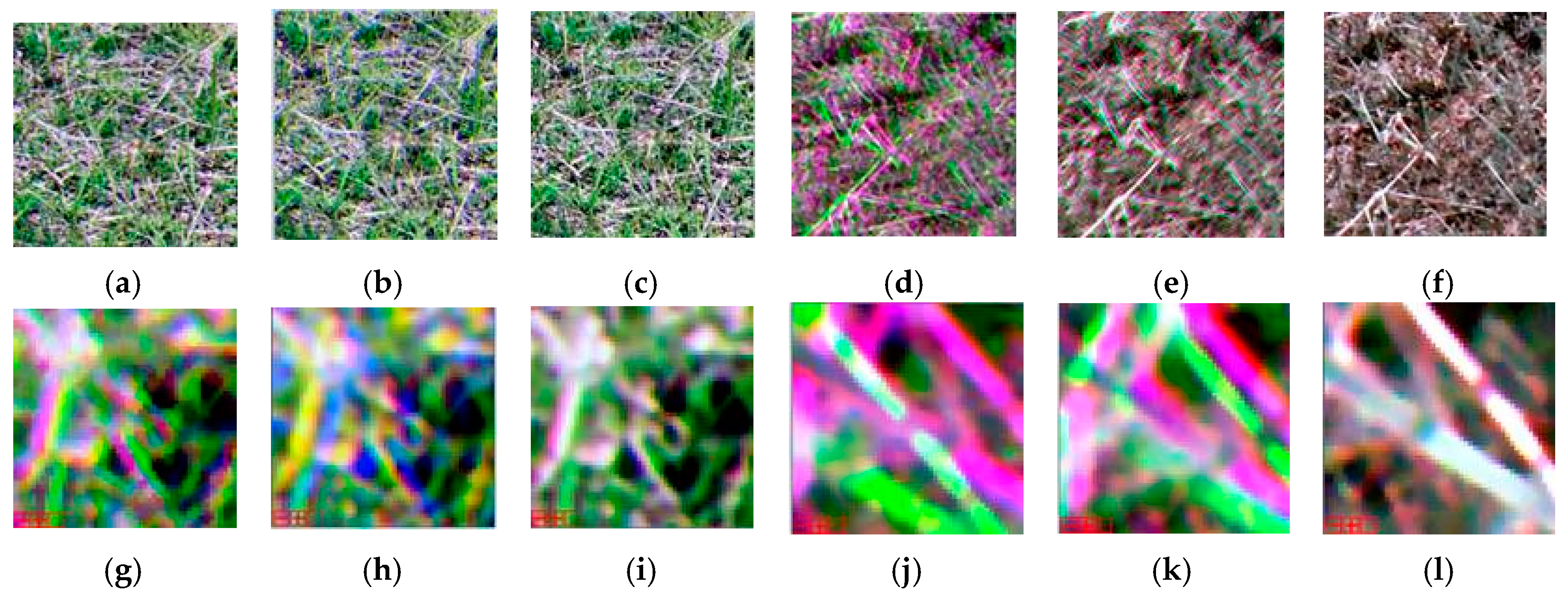 Agriculture 11 01262 g005 Agriculture 11 01262 g005