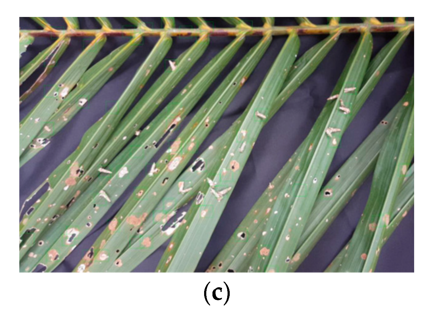 Agriculture 11 01265 g009b