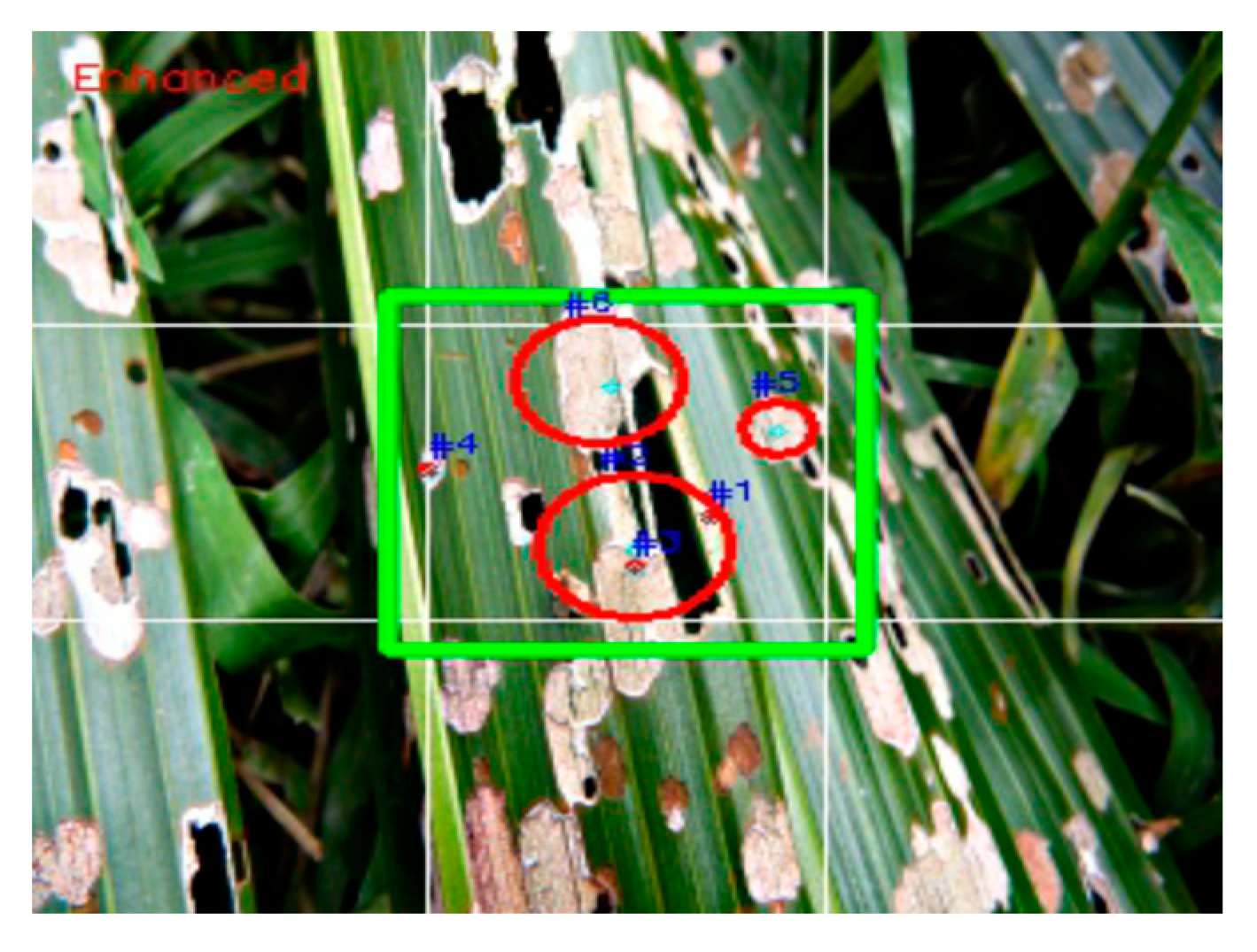 Agriculture 11 01265 g011