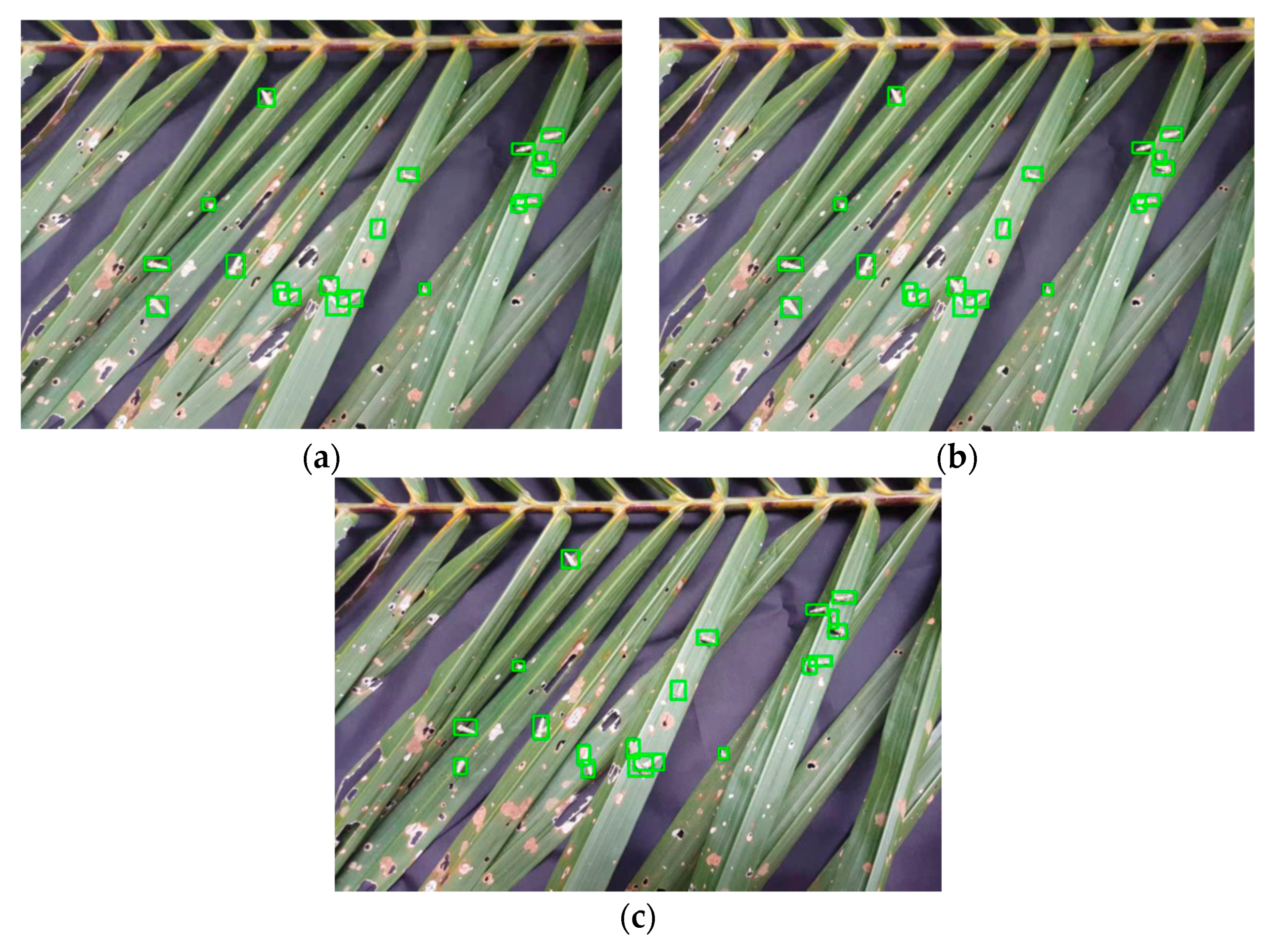 Agriculture 11 01265 g012