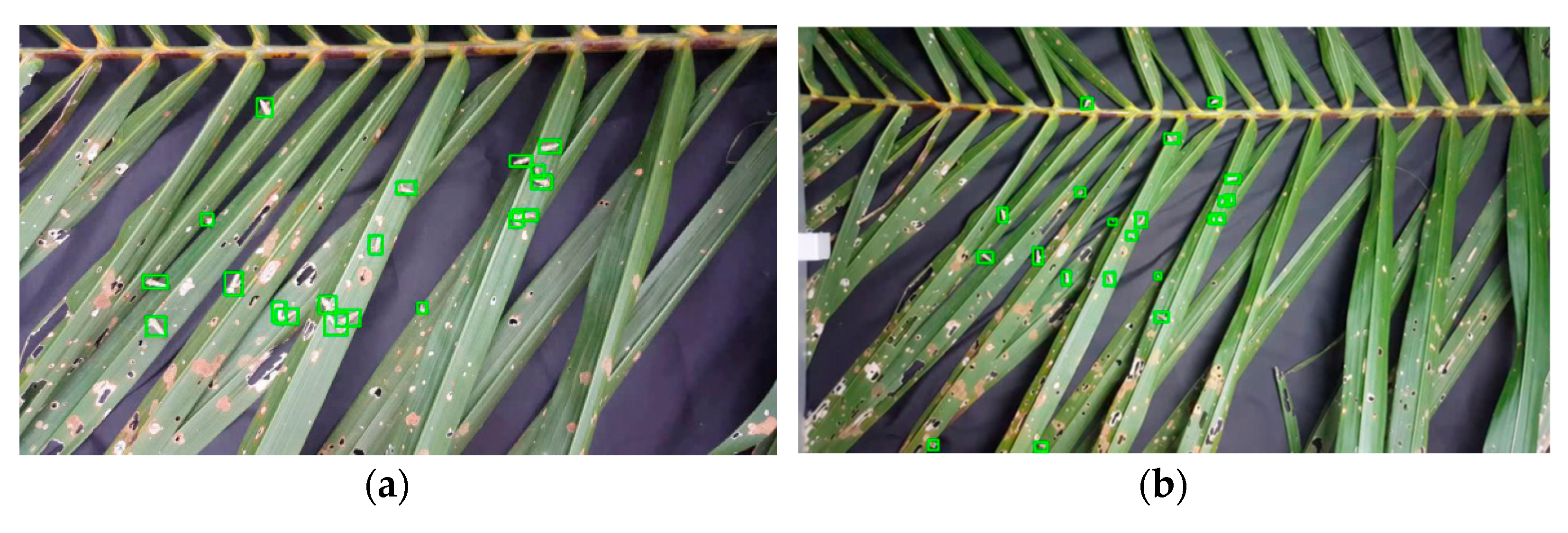 Agriculture 11 01265 g013a