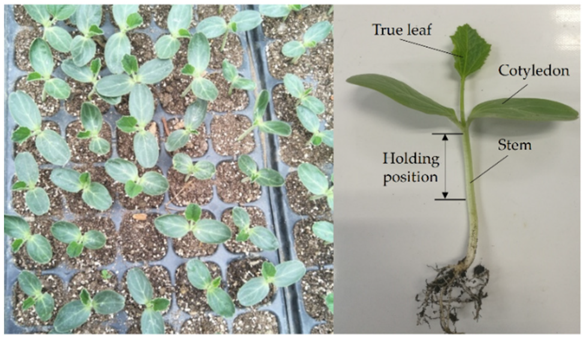 Agriculture 11 01266 g002