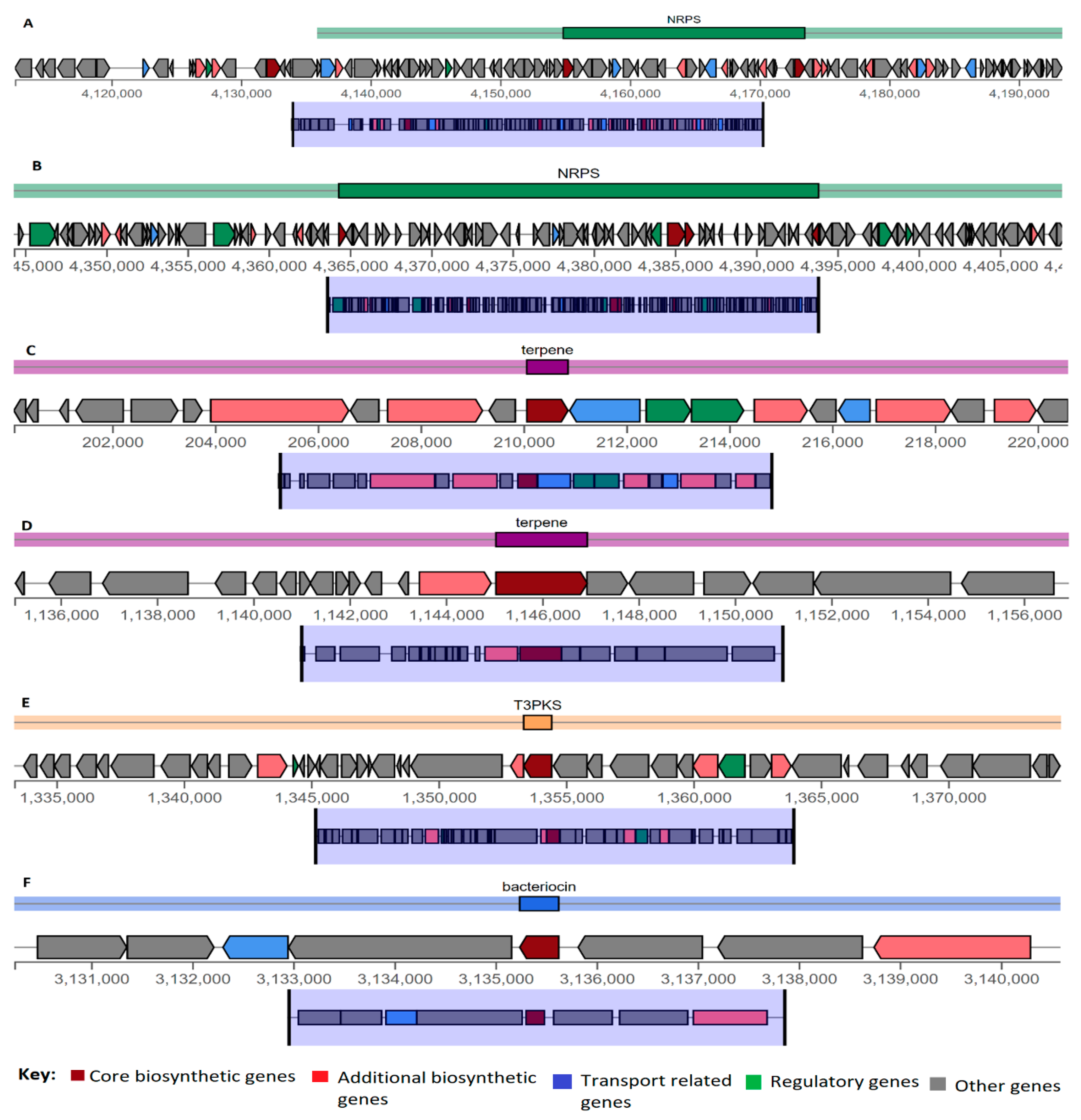 Agriculture 11 01273 g004