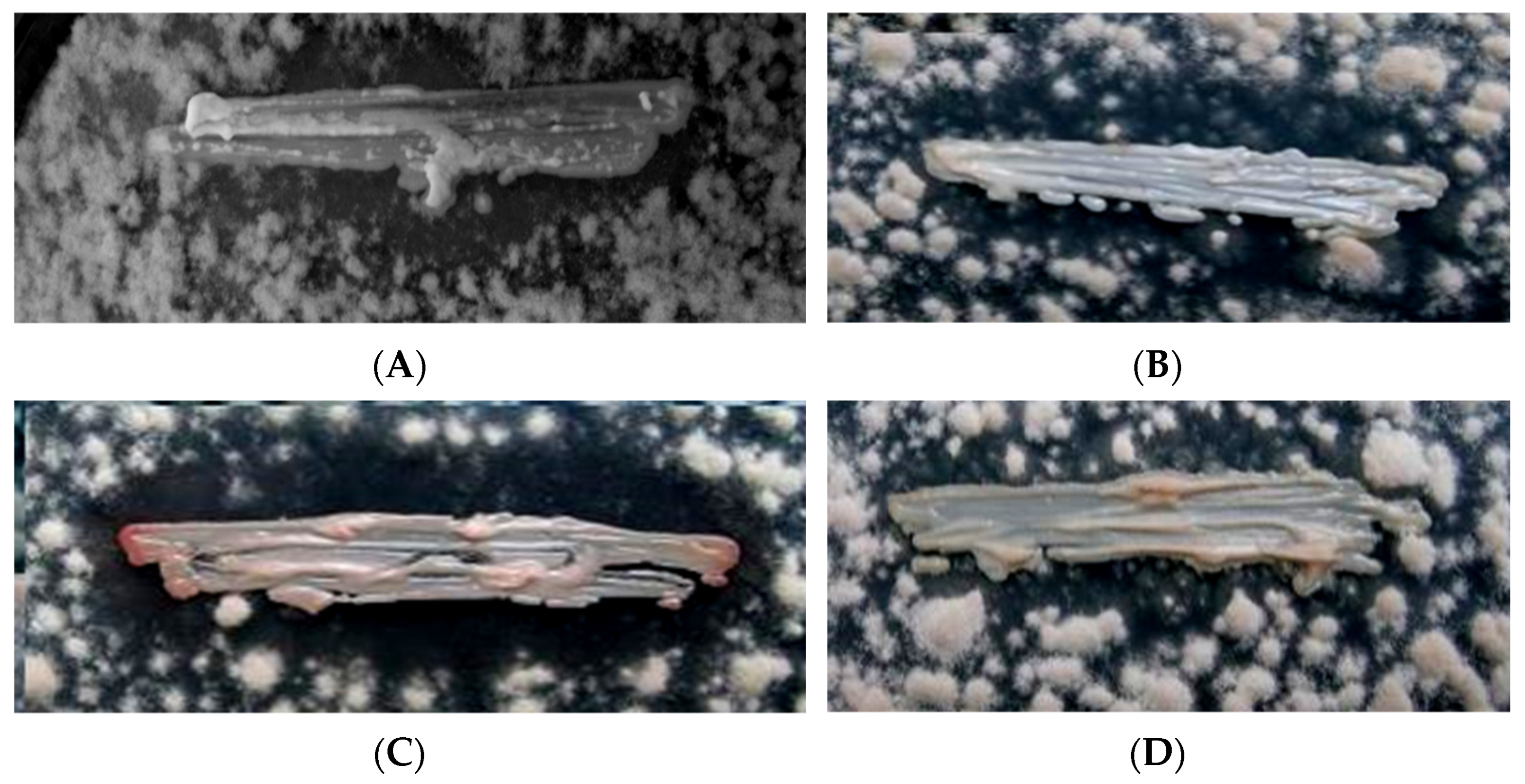 Agriculture 11 01291 g001 Agriculture 11 01291 g001