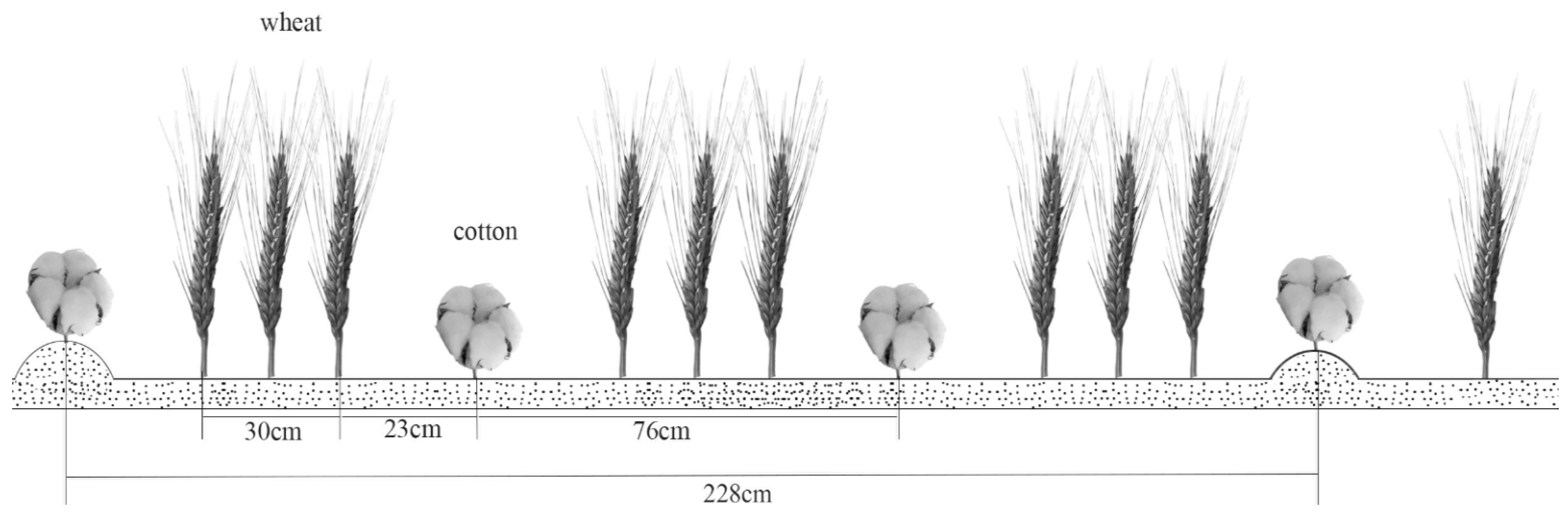 Agriculture 11 01294 g002 Agriculture 11 01294 g002