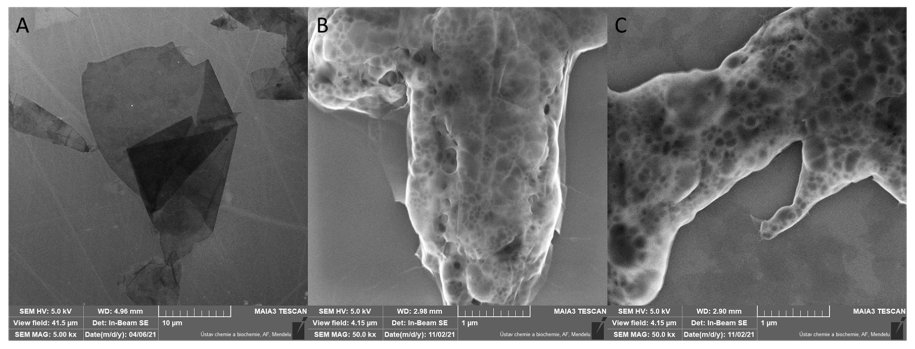 Agriculture 11 01295 g001