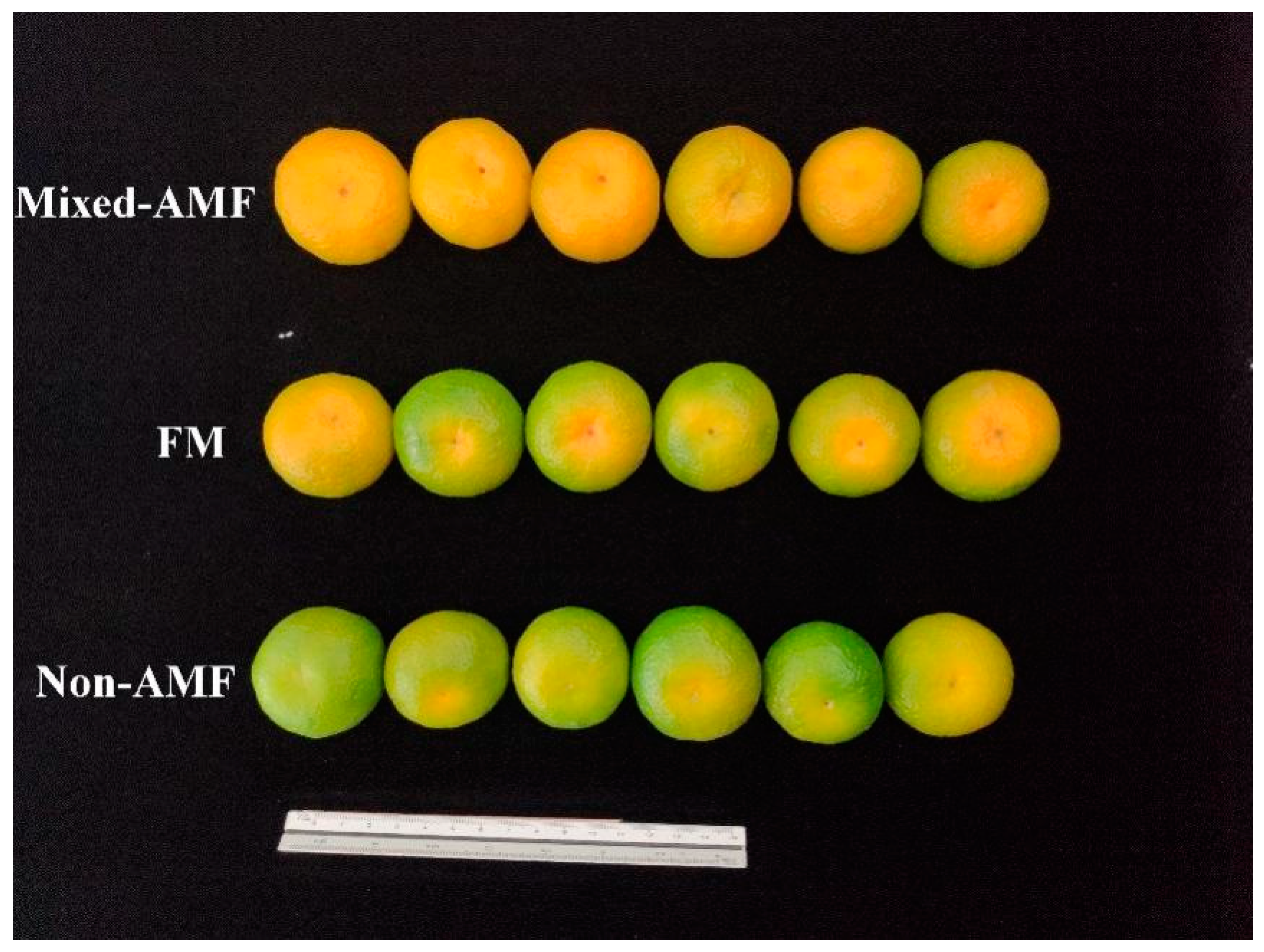 Agriculture 11 01297 g004 550