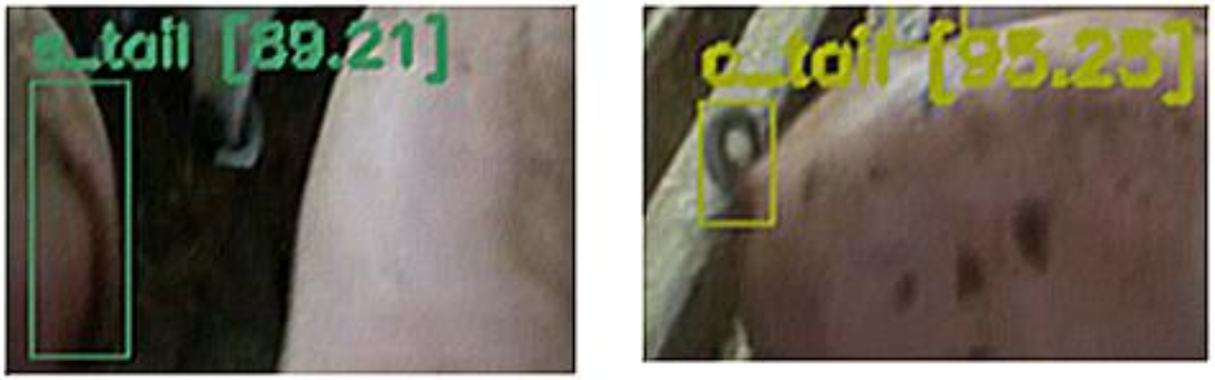 Agriculture 12 00002 g008 550