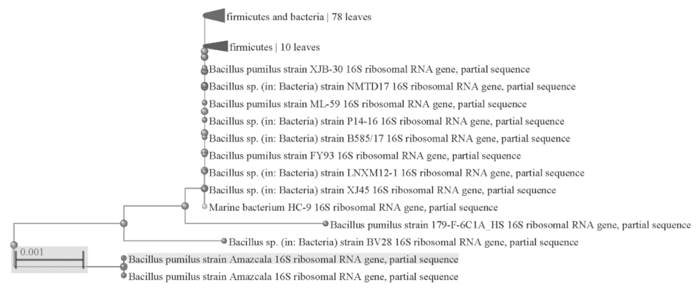 Agriculture 12 00003 g001