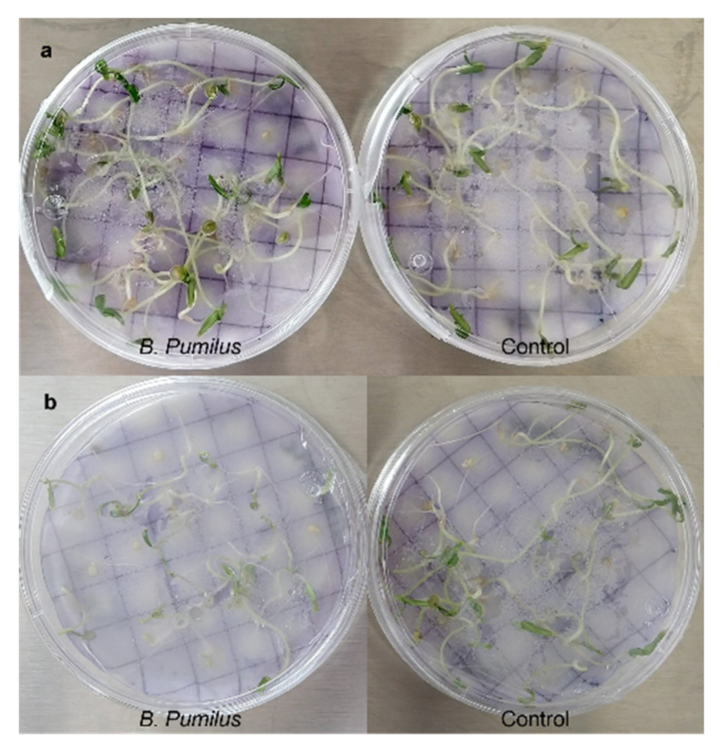 Agriculture 12 00003 g004