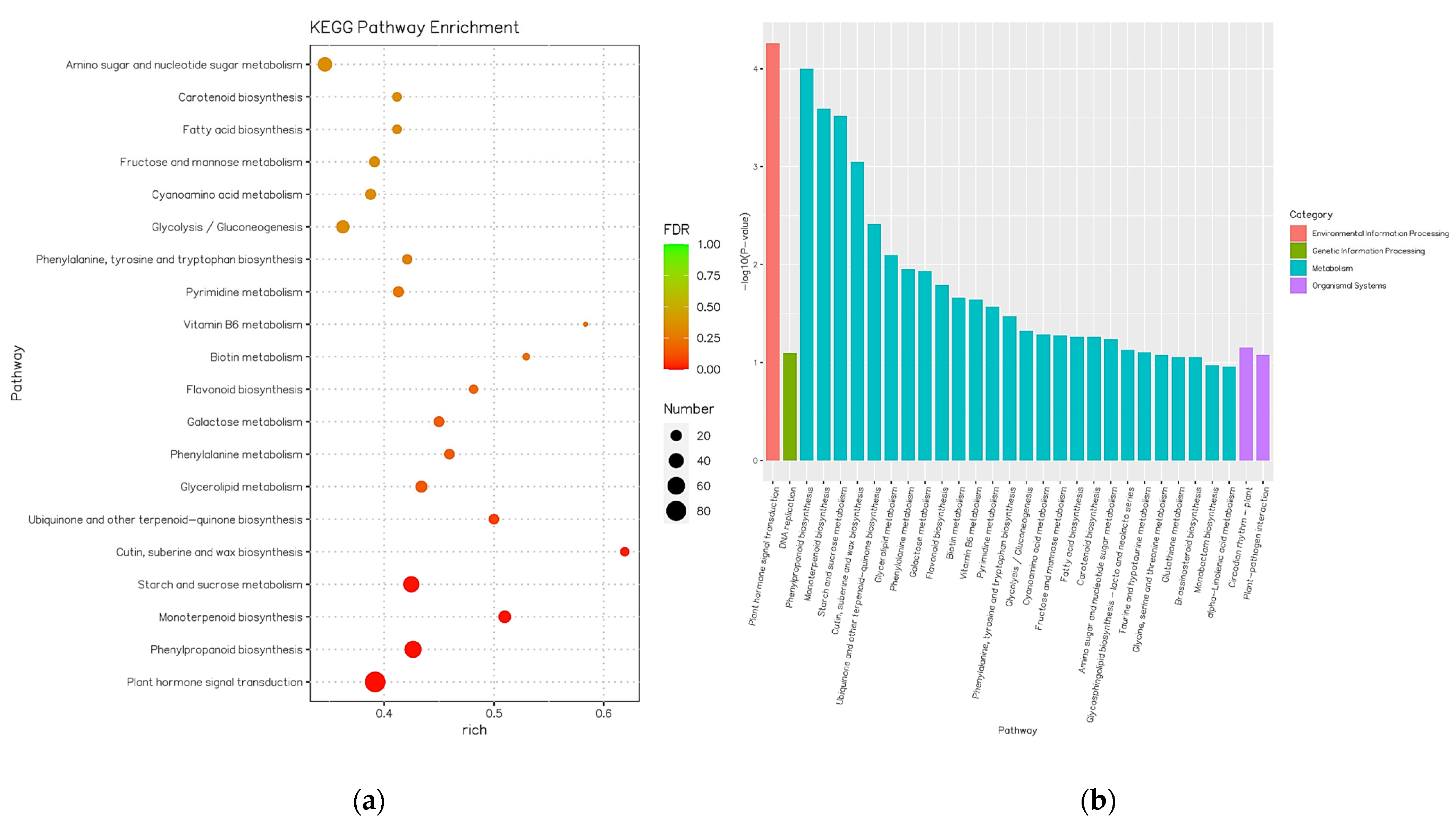Agriculture 12 00012 g004